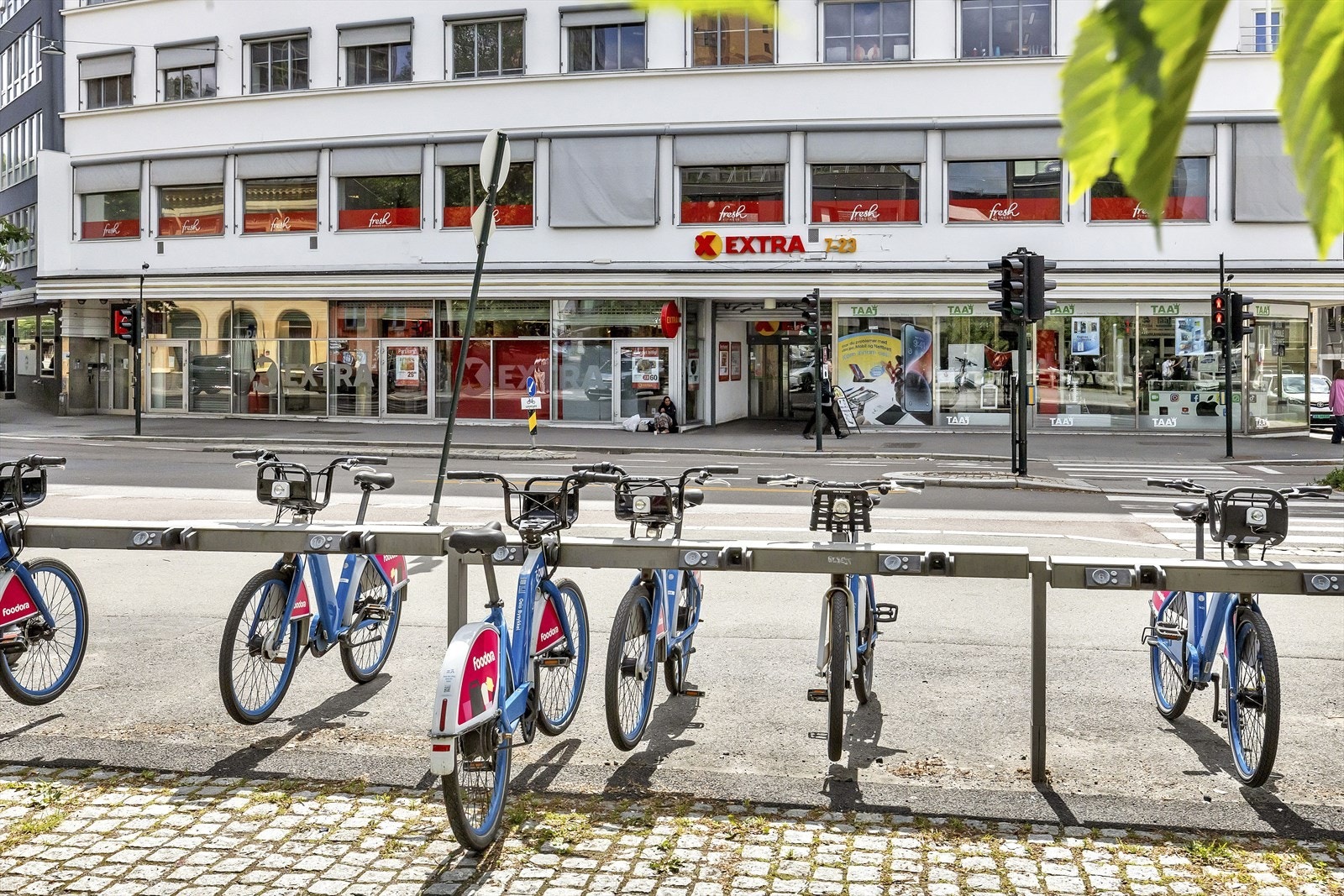 Nærområdet. Galleribilde