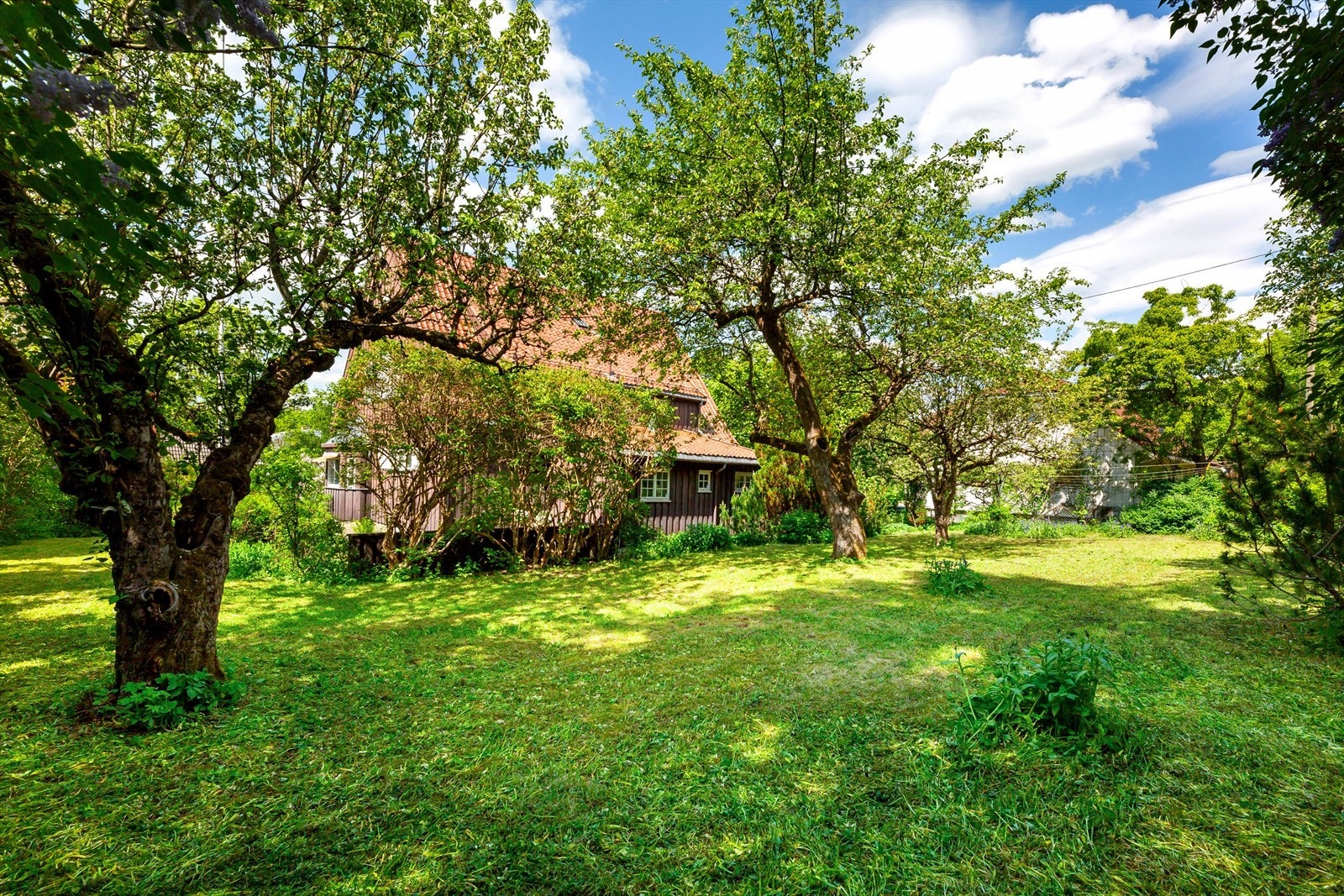 Idyllisk have Galleribilde