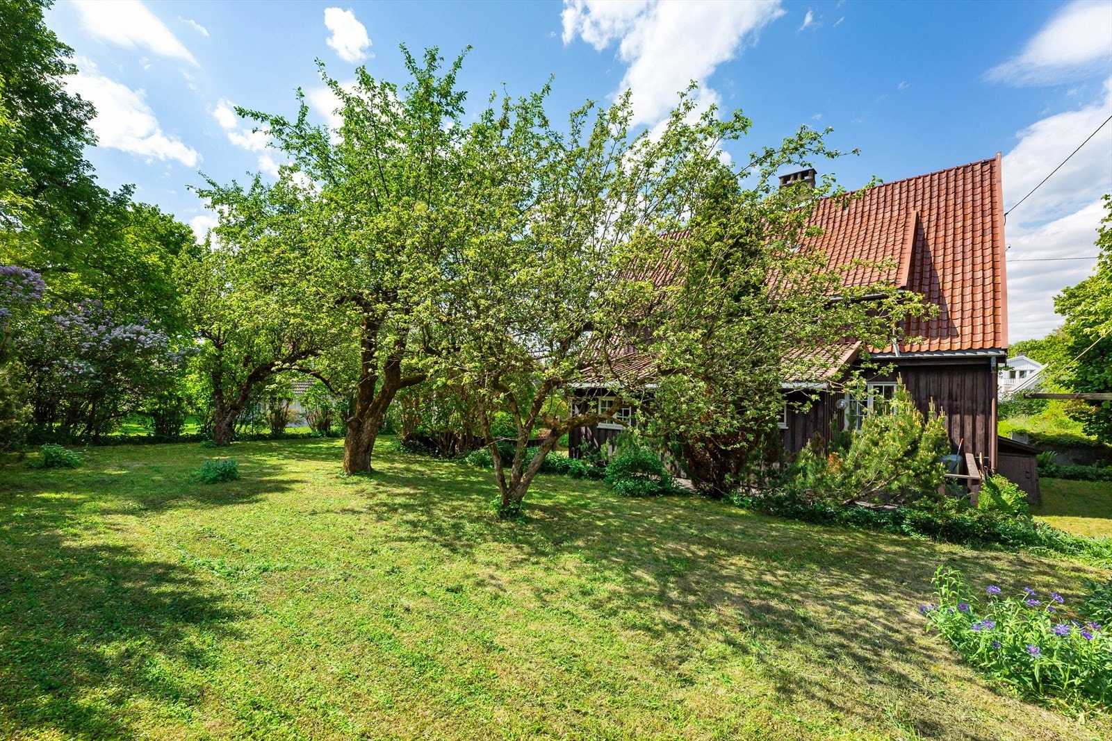 Fra haven på baksiden med frukttrær og gammeldags beplantning Galleribilde