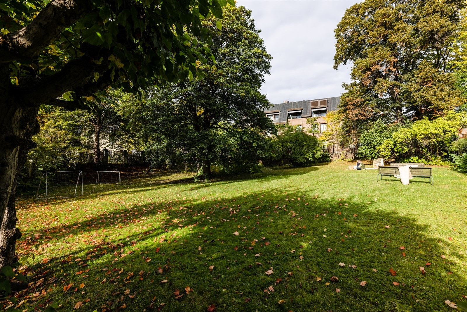 Parken eies og vedlikeholdes av de omsluttende bygningene Galleribilde