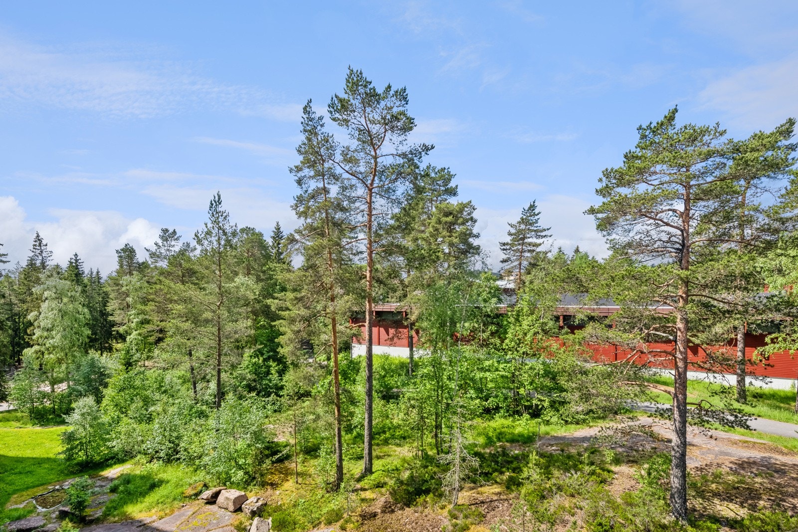 Utsikt fra innglasset balkong til frodige og grønne friområder. Galleribilde