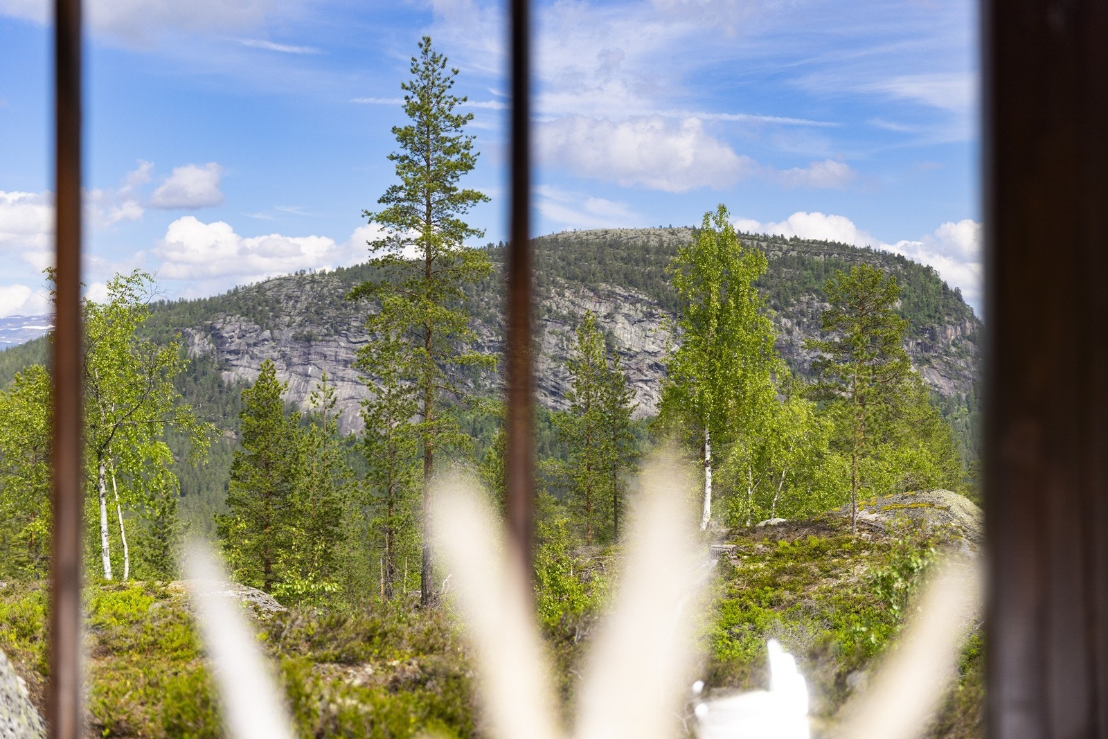 Flott utsikt gjennom stuevinduene. Galleribilde