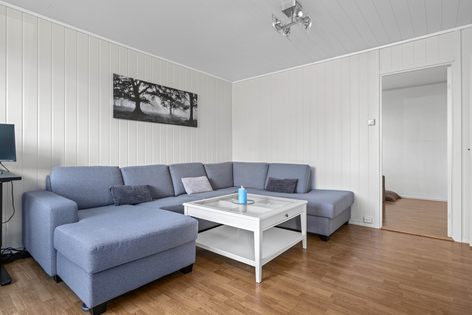 Lave felleskostnader på 3 881,-. Galleribilde
