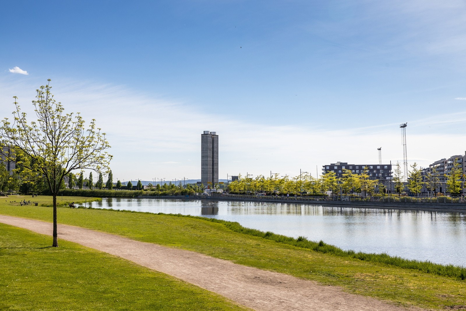 Fine turområder i nærheten av leiligheten. Galleribilde