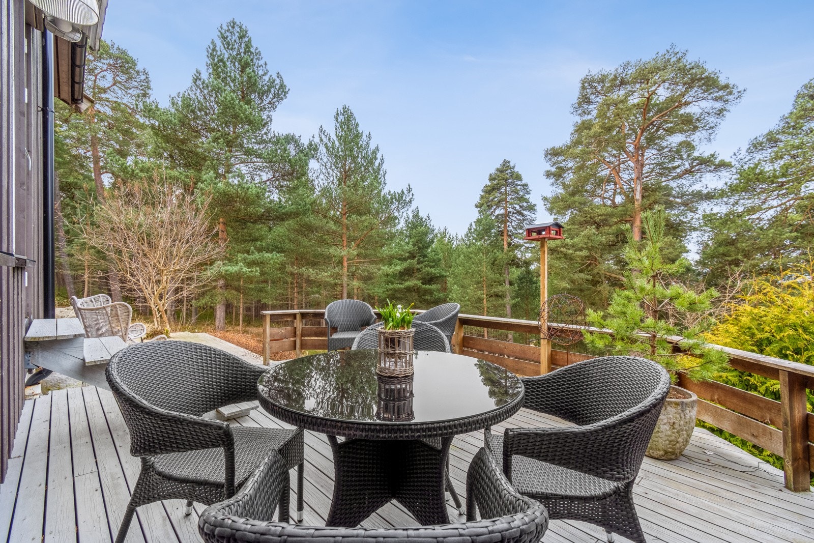 Uteområdet ligger godt og skjermet til, vendt mot nærliggende natur. Galleribilde