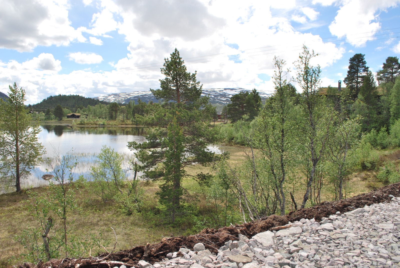 Djupetjønnet med utsikt mot syd Galleribilde