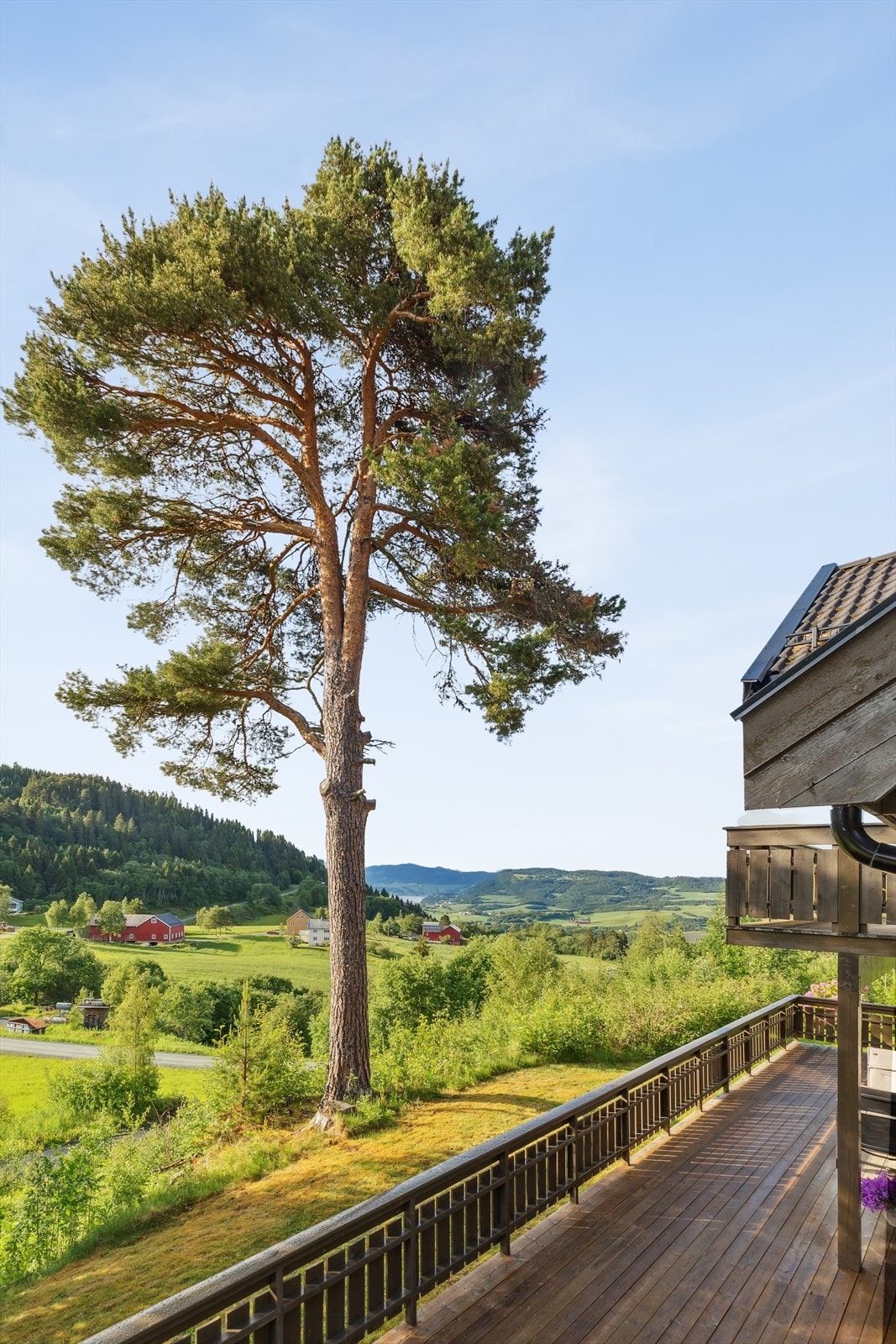 I hagen vokser det gress, prydbusker og naturlig vegetasjon. Galleribilde