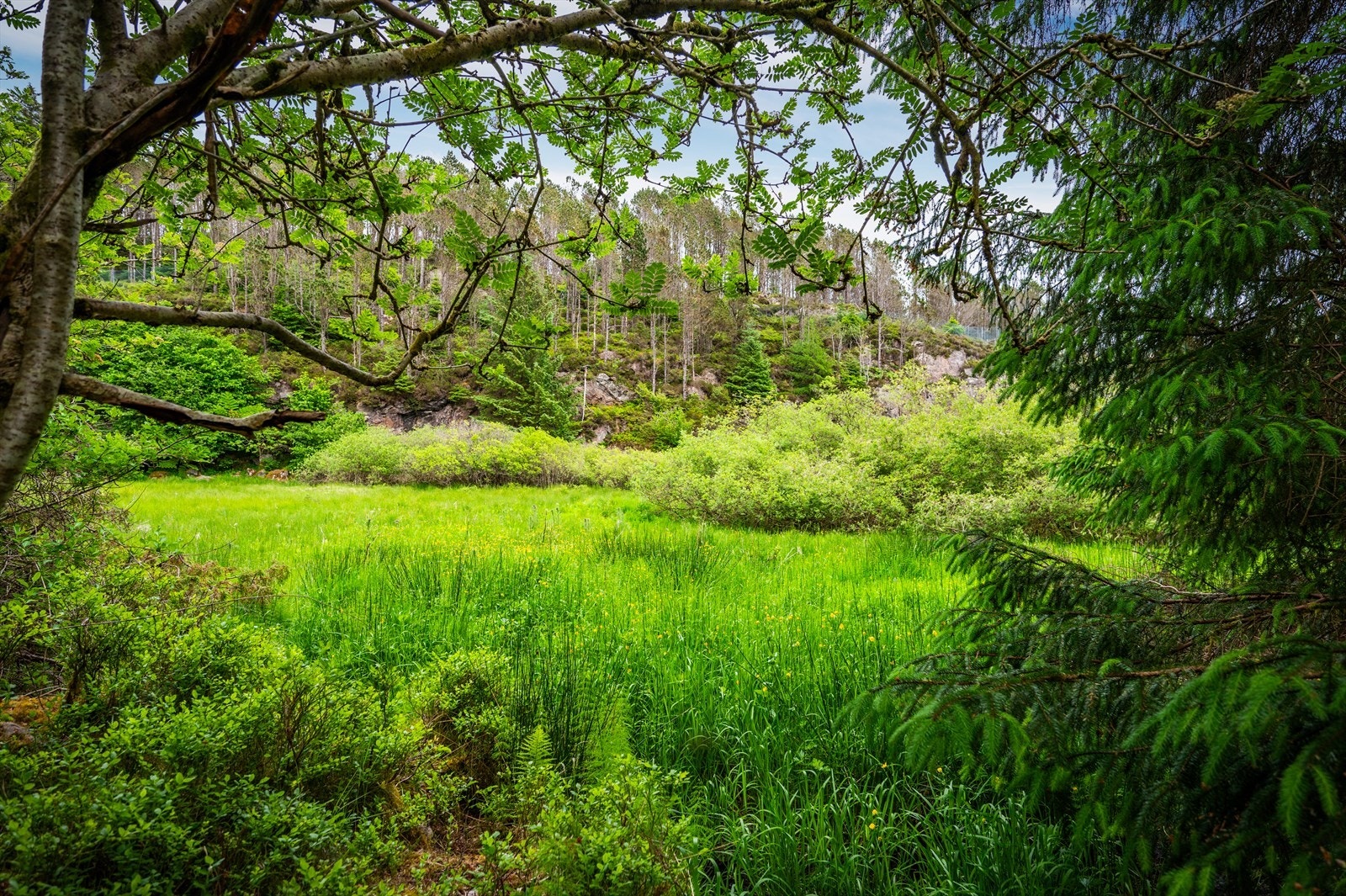 Det er kjørevei helt til tomten. Galleribilde