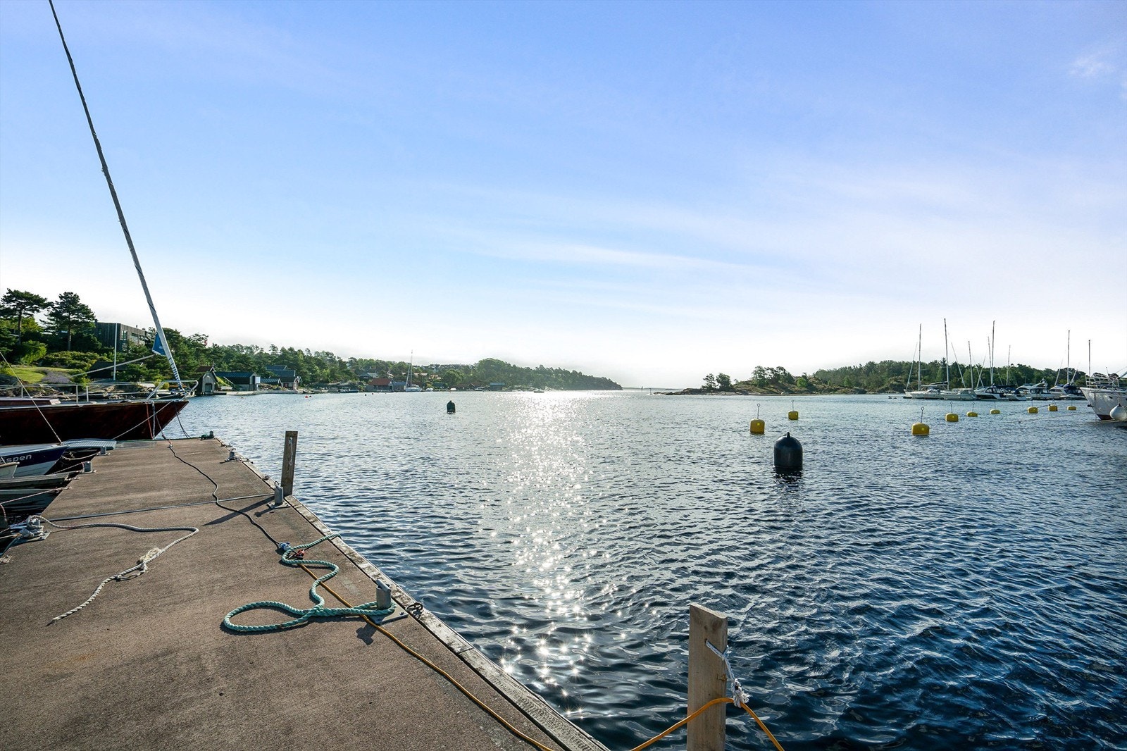 Ternevig, Båthavn Galleribilde