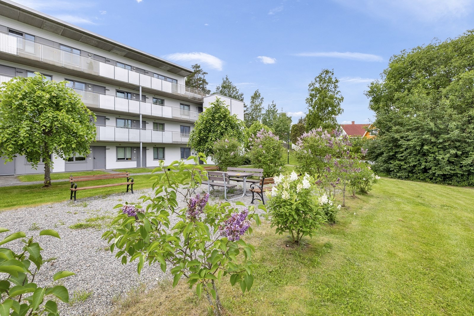 Fellesområdene er opparbeidet med gressplener, trær, beplantning, sittegrupper, etc Galleribilde