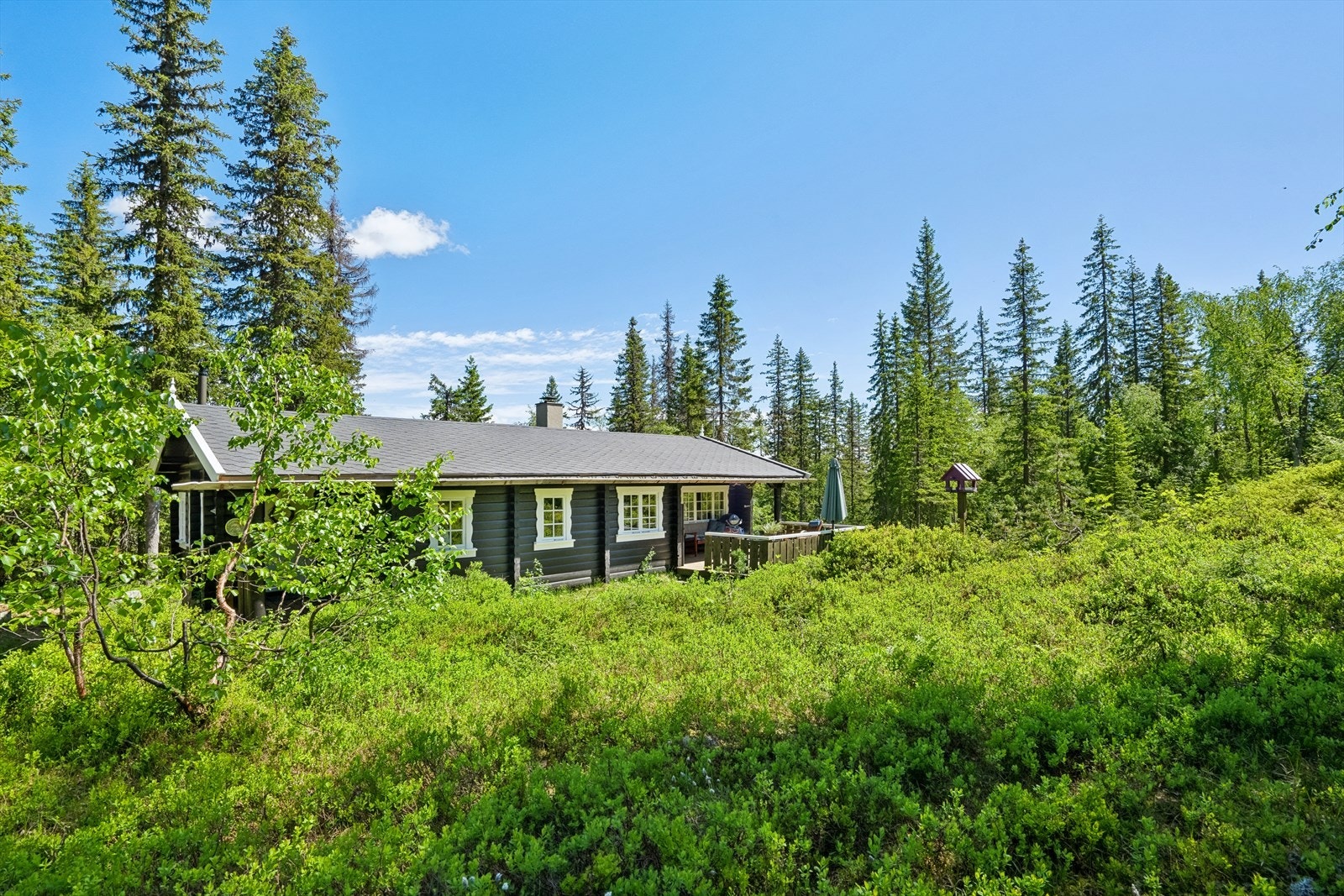 Hytta ligger idyllisk til og midt i skauen Galleribilde