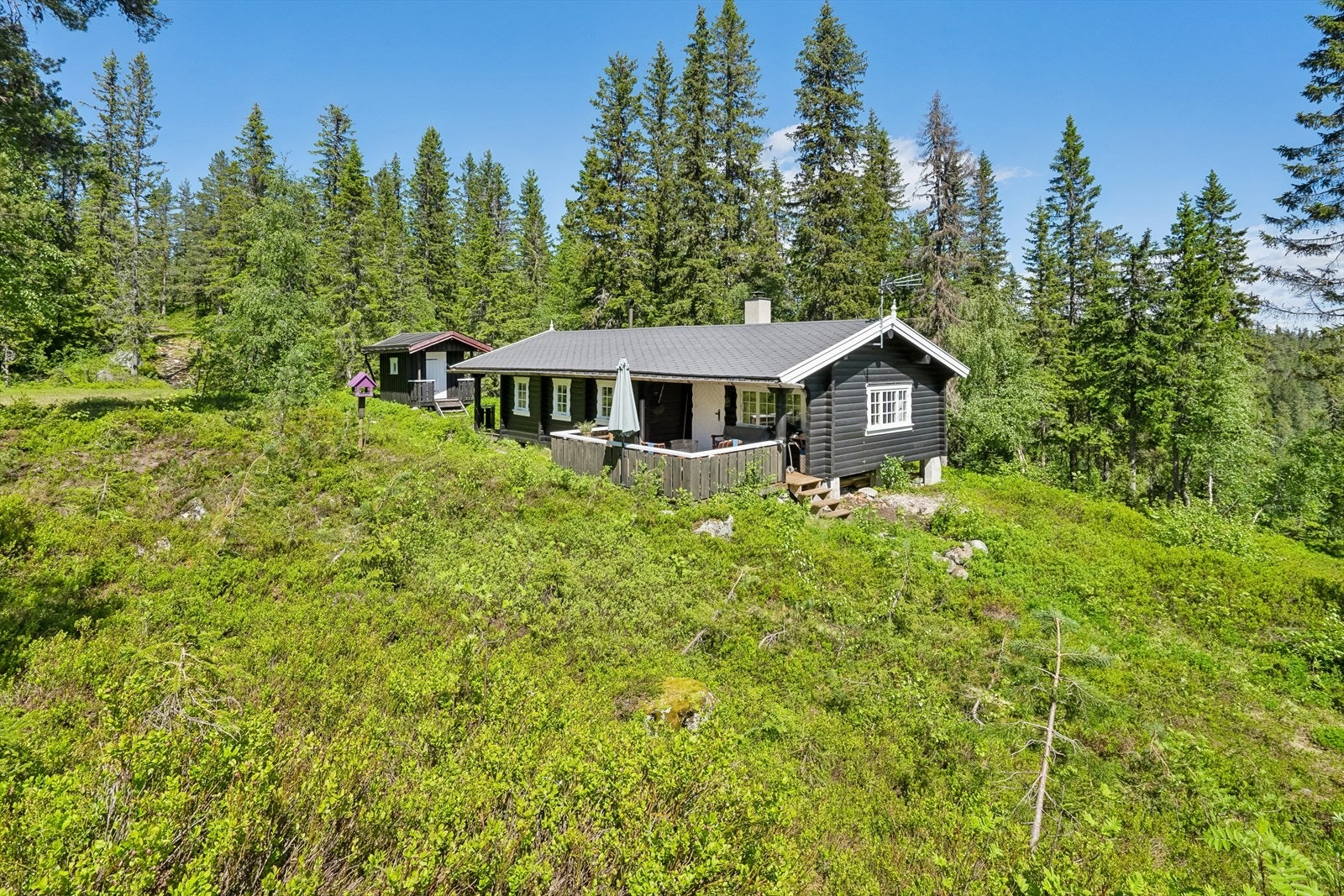 VELKOMMEN TIL MJOVASSÅSEN 68 Galleribilde