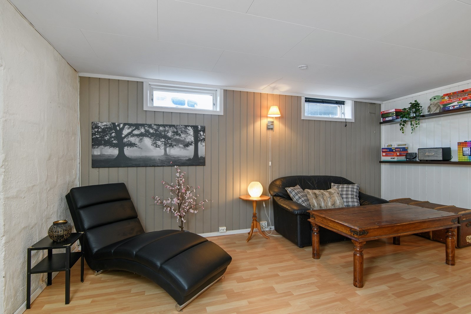 Boligen har TV-stue i kjelleren. Galleribilde