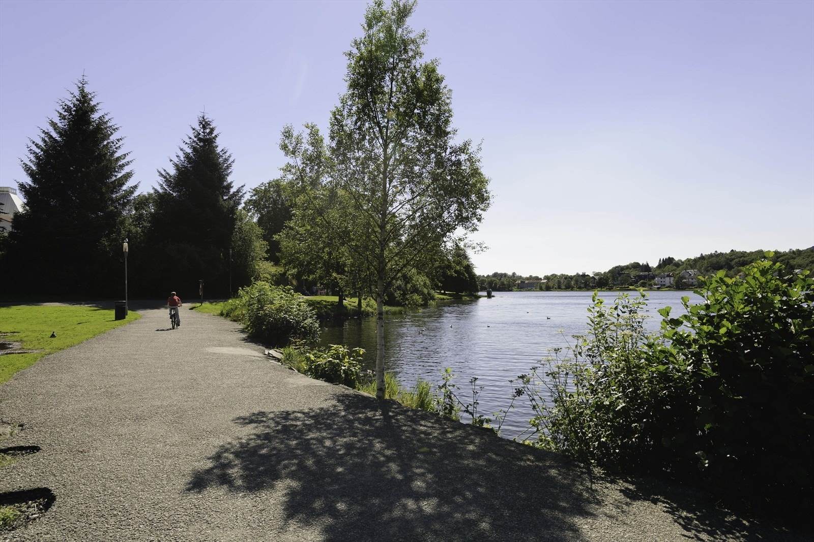 Kort vei til idyllisk og frodig natur og tursti ved Tveitevannet; perfekt for rekreasjon og familieaktiviteter. Galleribilde