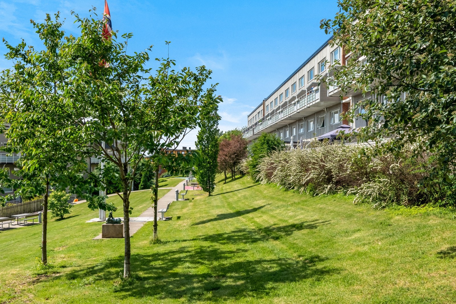 Det er tillatt med dyr i borettslaget. Galleribilde