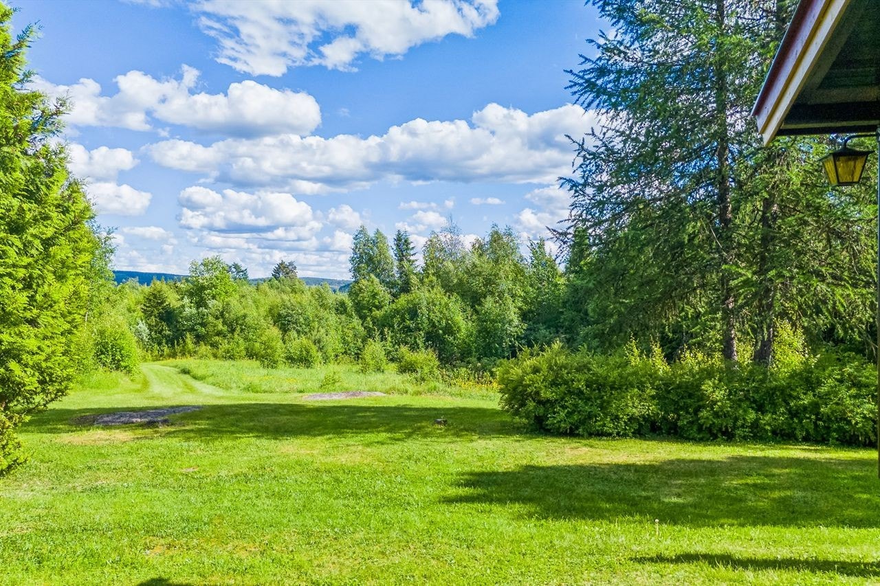 Frodig og flotte nærområder Galleribilde