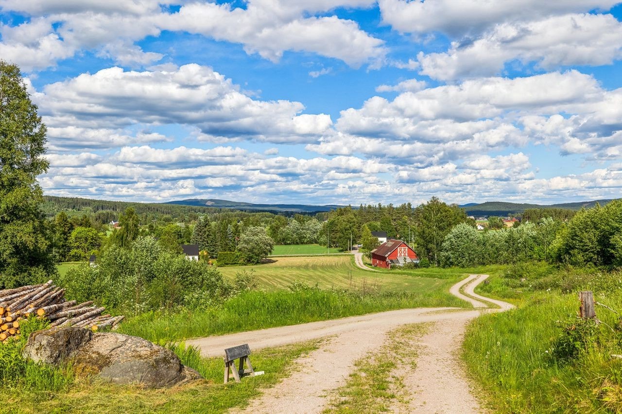 Utsikt fra eiendommen Galleribilde