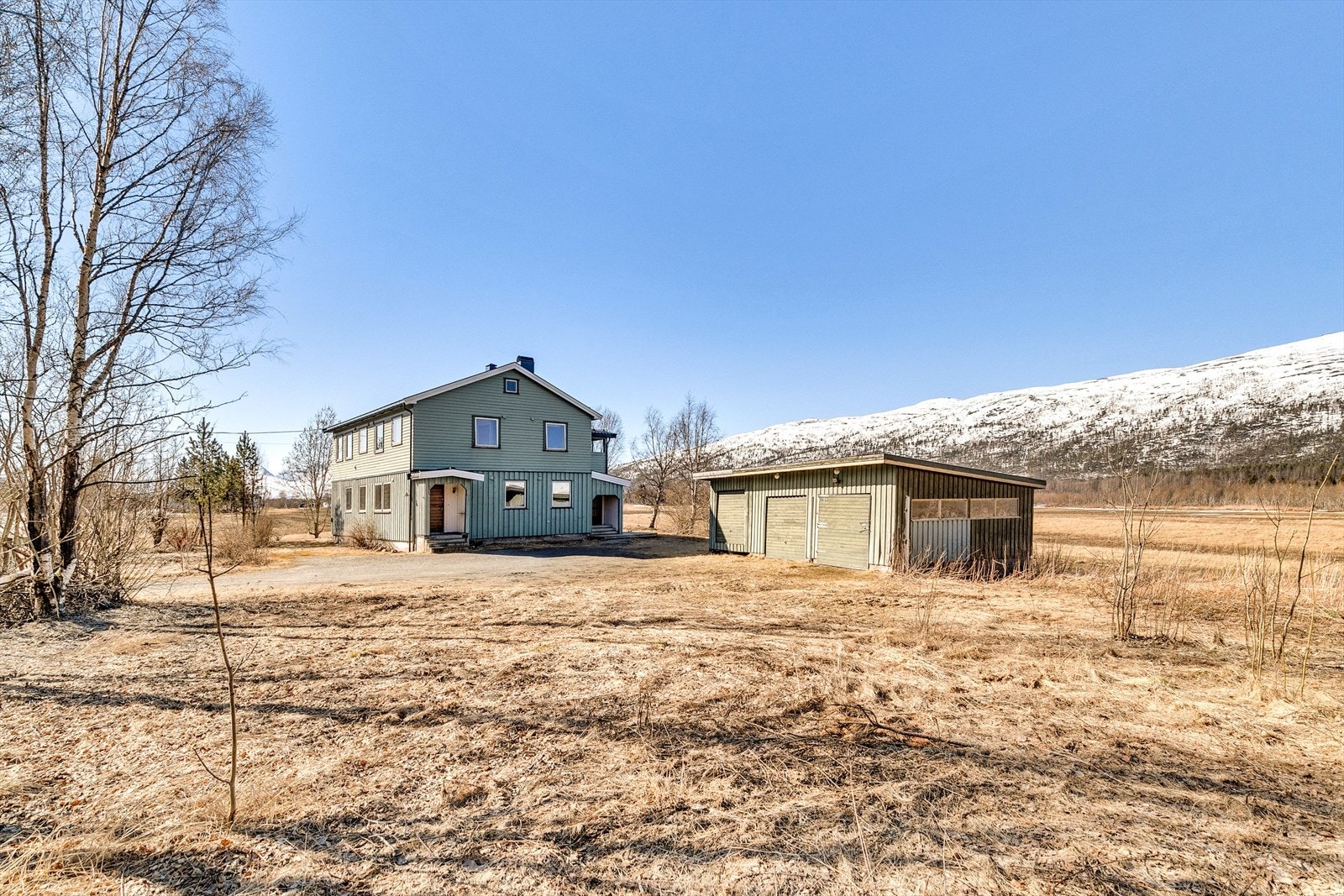 Stor tomt Galleribilde