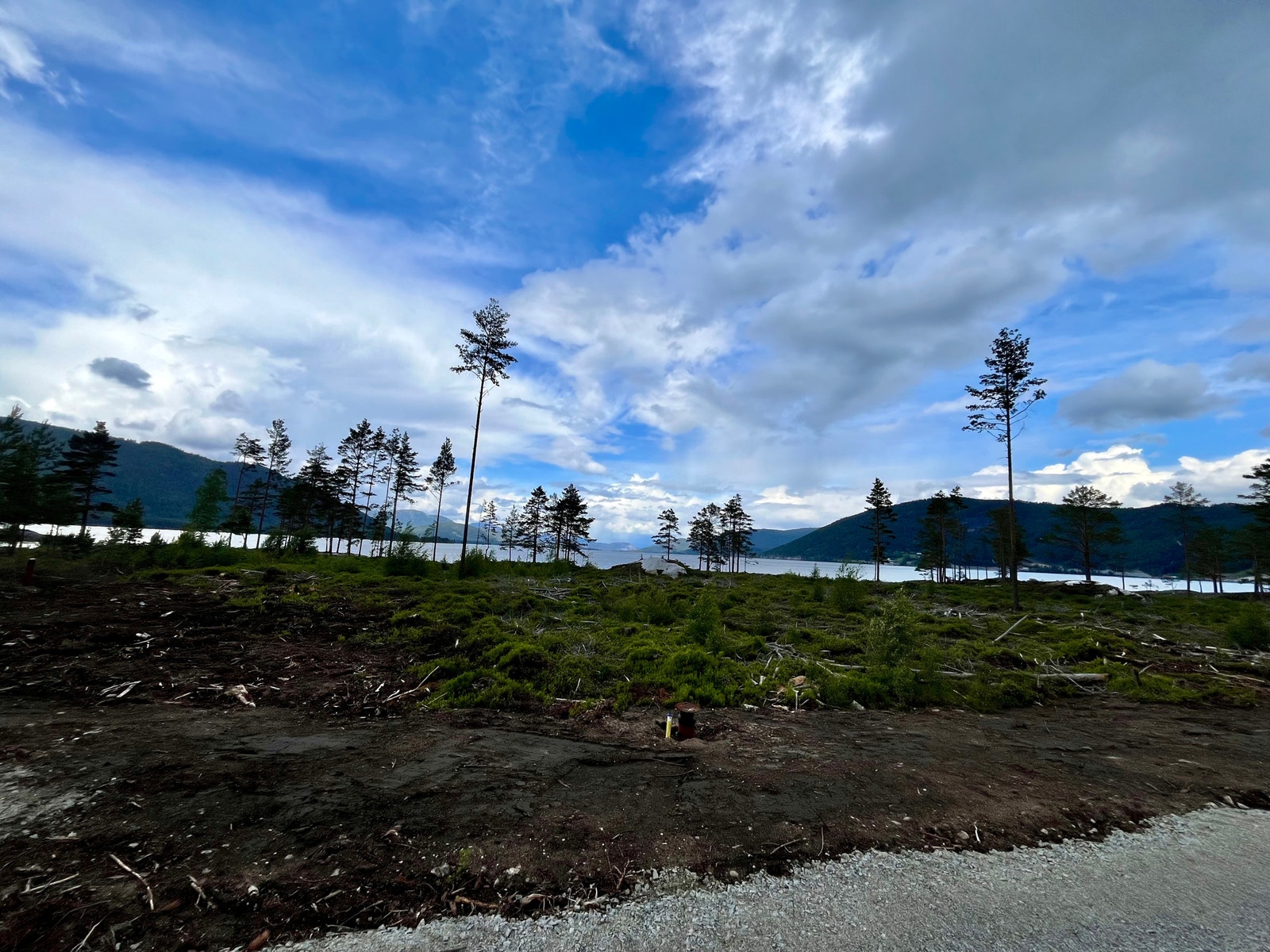 Tomt 14 og 15 m utsikt - må sees! Galleribilde