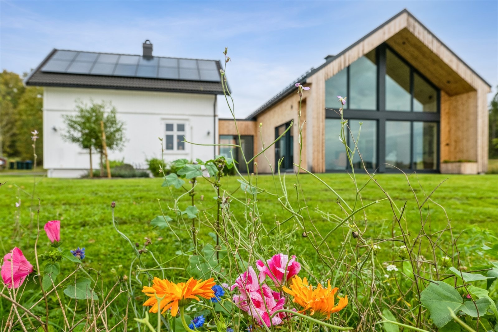 Eneboligen ble omfattende oppgradert i 2016 og tilbygget med stue, vaskerom, soverom og hems i 2022. Tilbygget gir en fantastisk romfølelse! Galleribilde