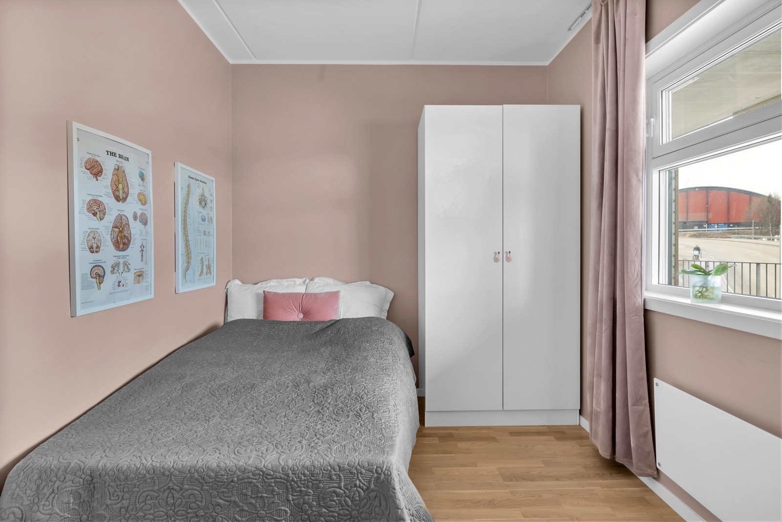 Praktisk soveorm med vindu mot nord Galleribilde