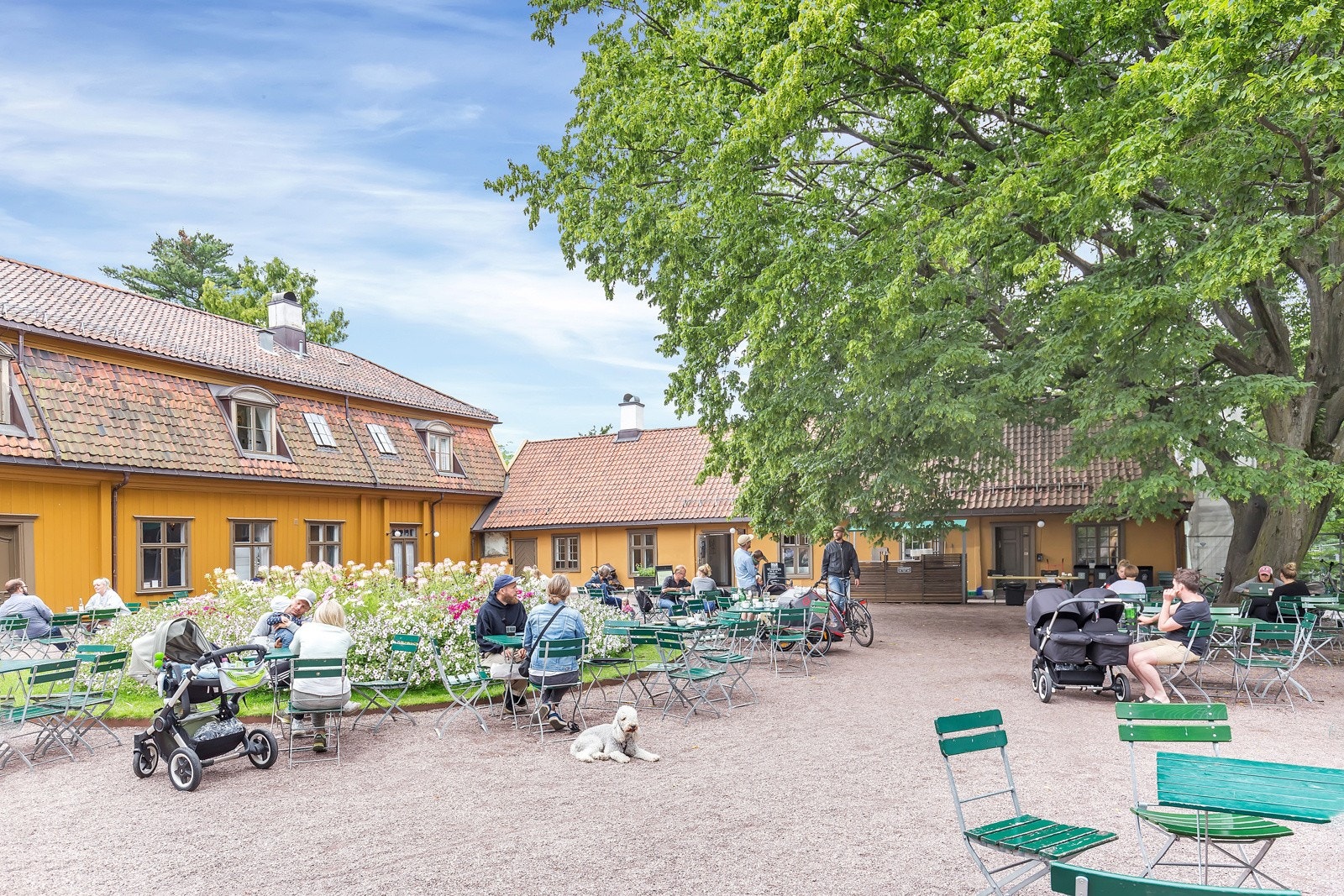 Midt i parken finner du også kanskje byens koseligste kafe med herlig uteservering Galleribilde