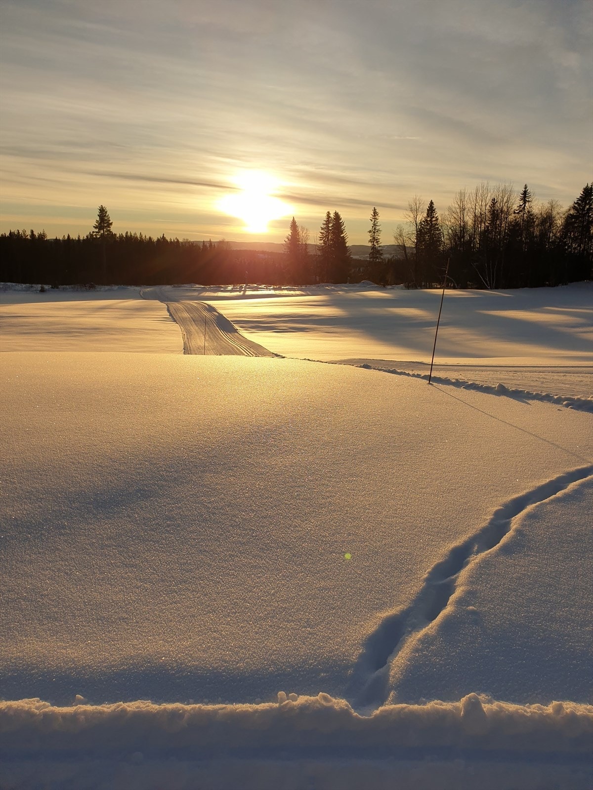Selger bilde: Skiløype. Galleribilde