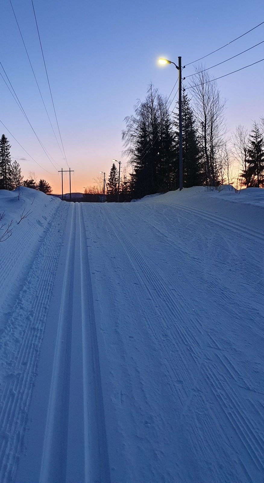 Selgers bilde: Lysløype. Galleribilde