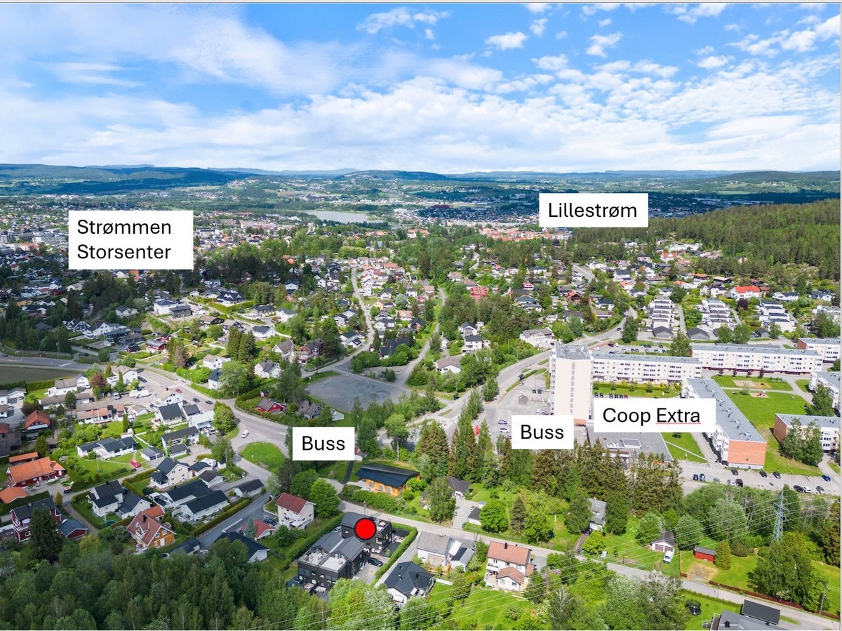 Drone 1 Galleribilde