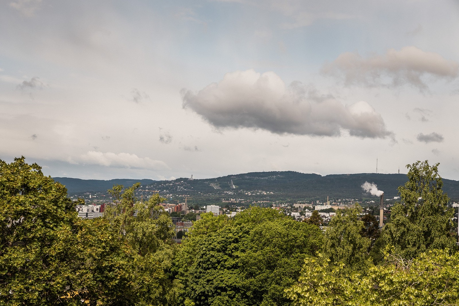 Fritt utsyn over nabolaget og byen. Galleribilde