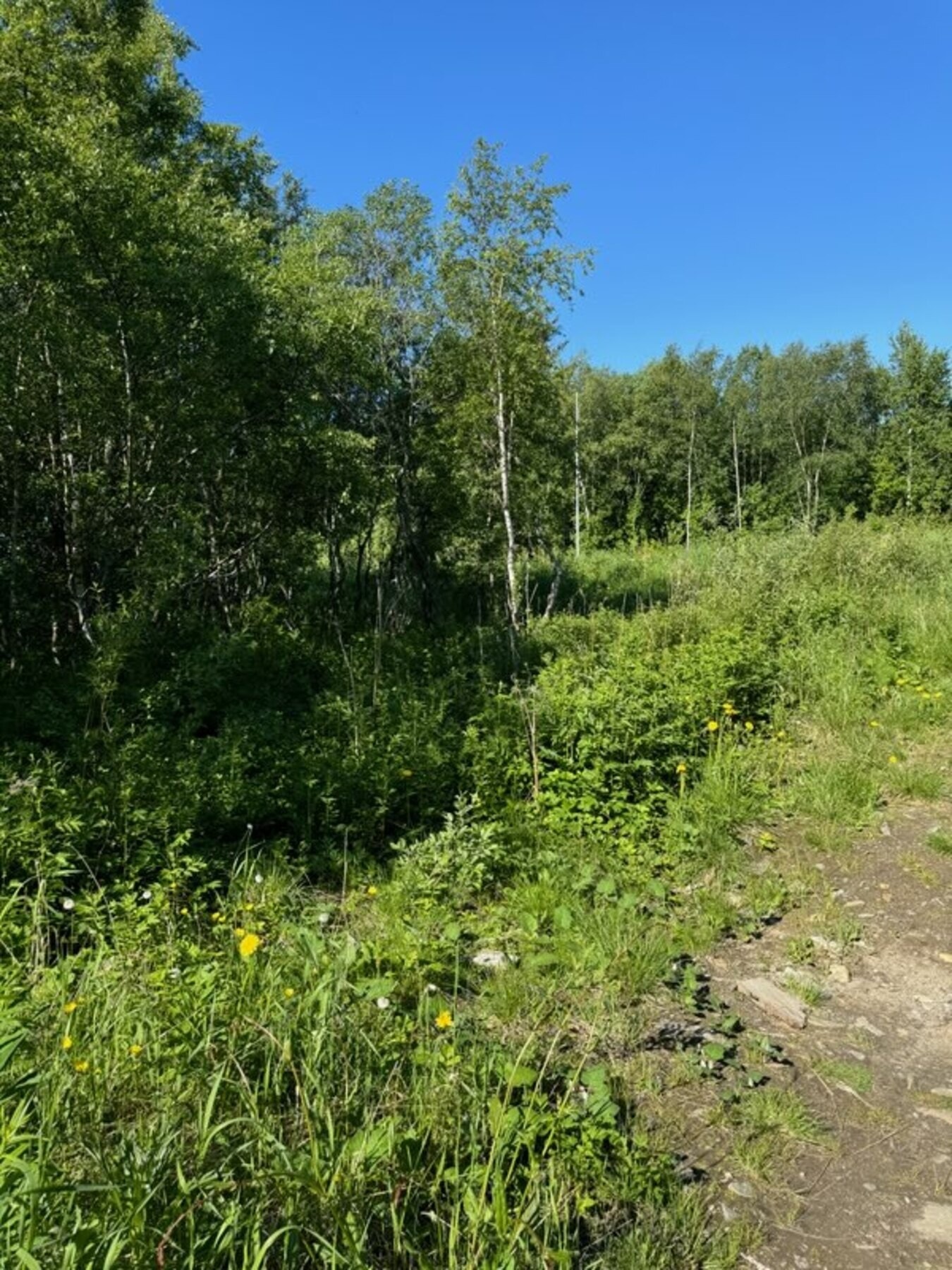 Idyllisk og naturskjønt område Galleribilde