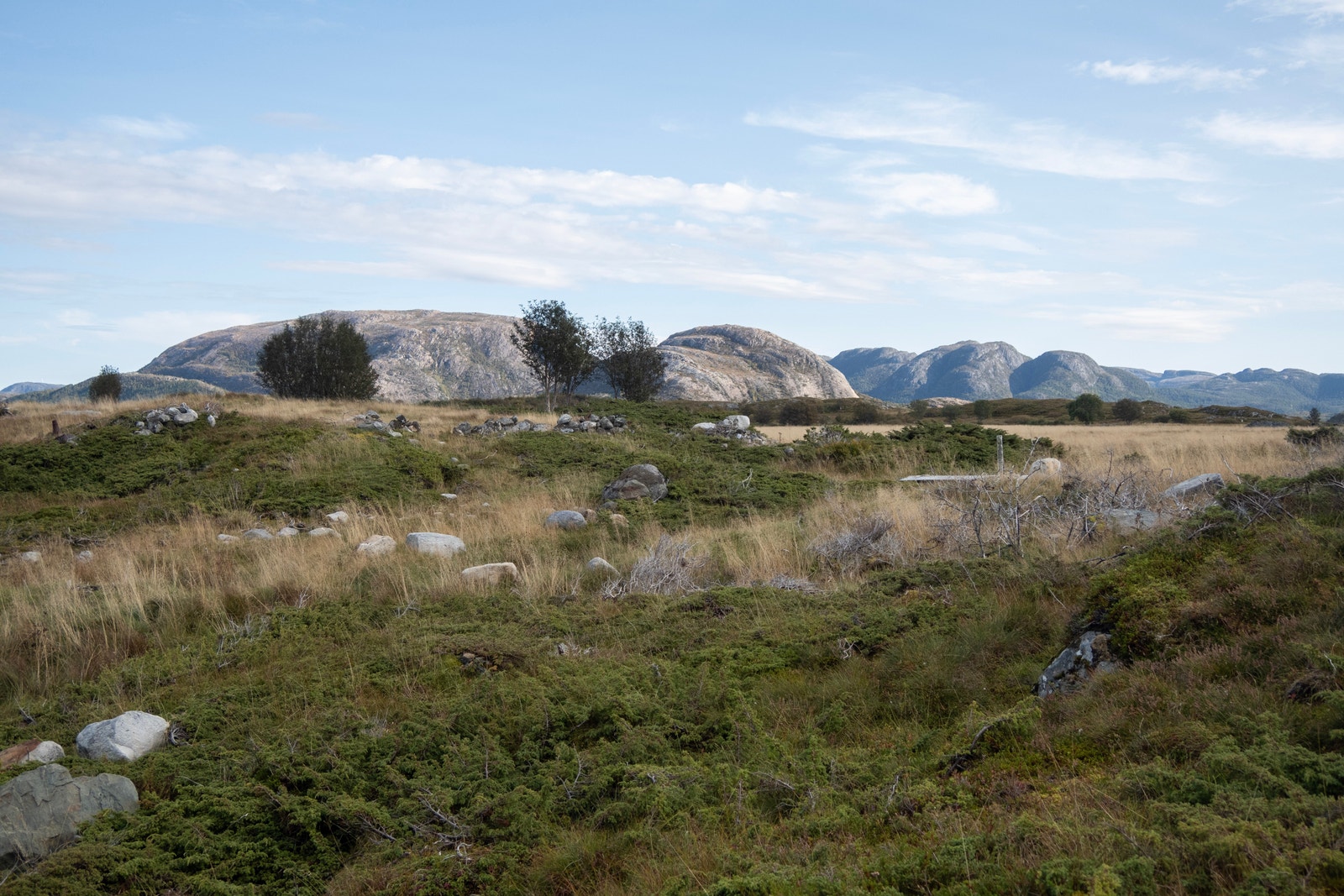 Bilder fra omgivelsene rundt eiendommen Galleribilde