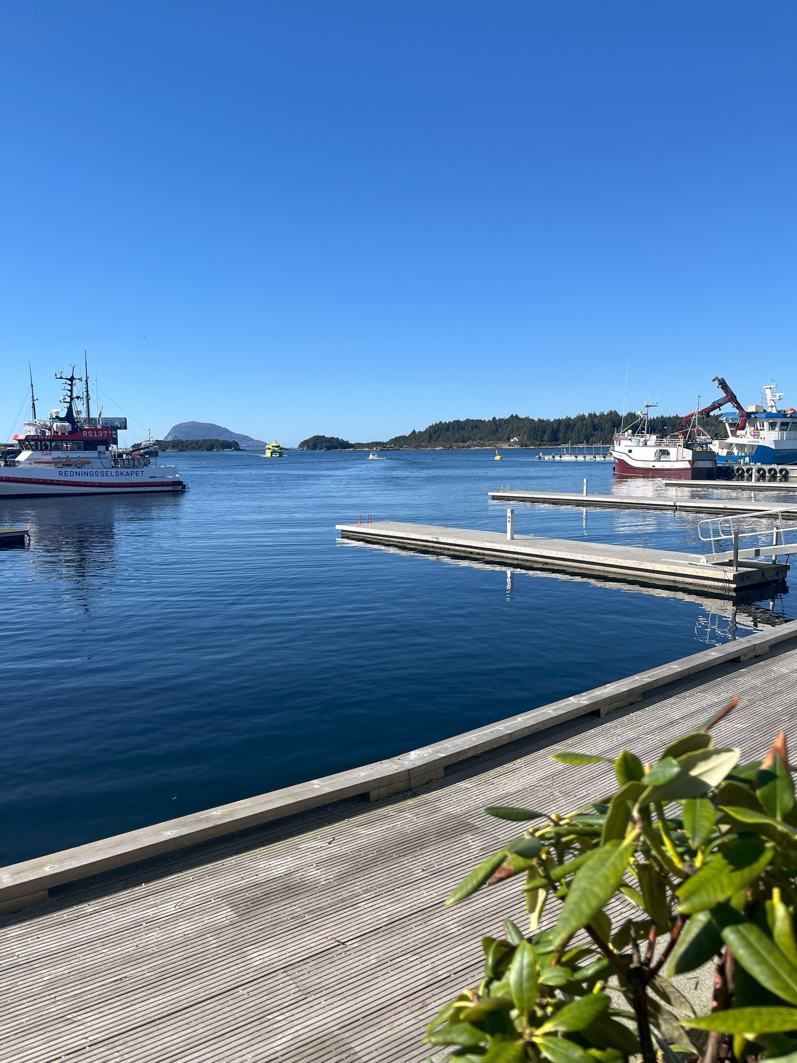 Nærområdet Galleribilde