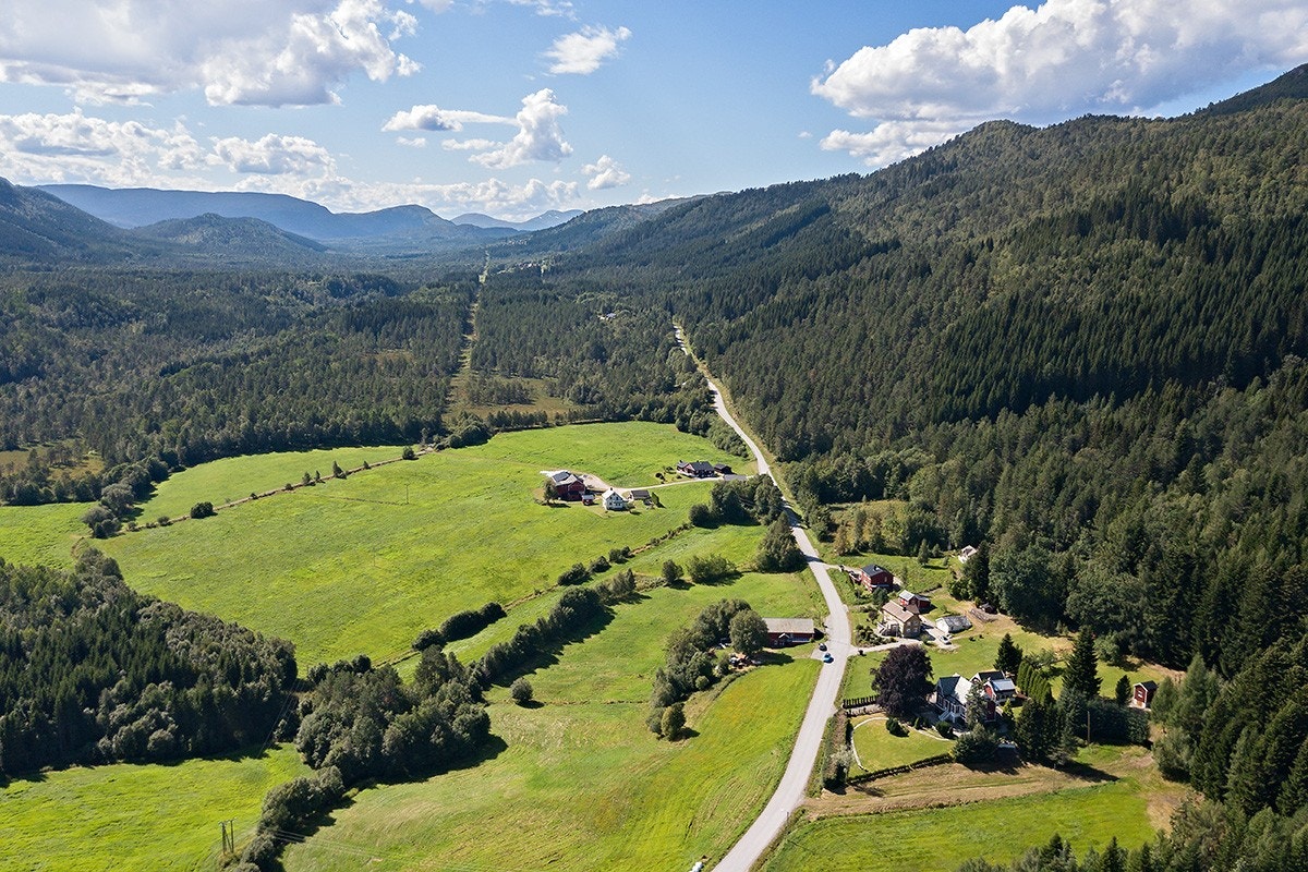 Oversikt Galleribilde