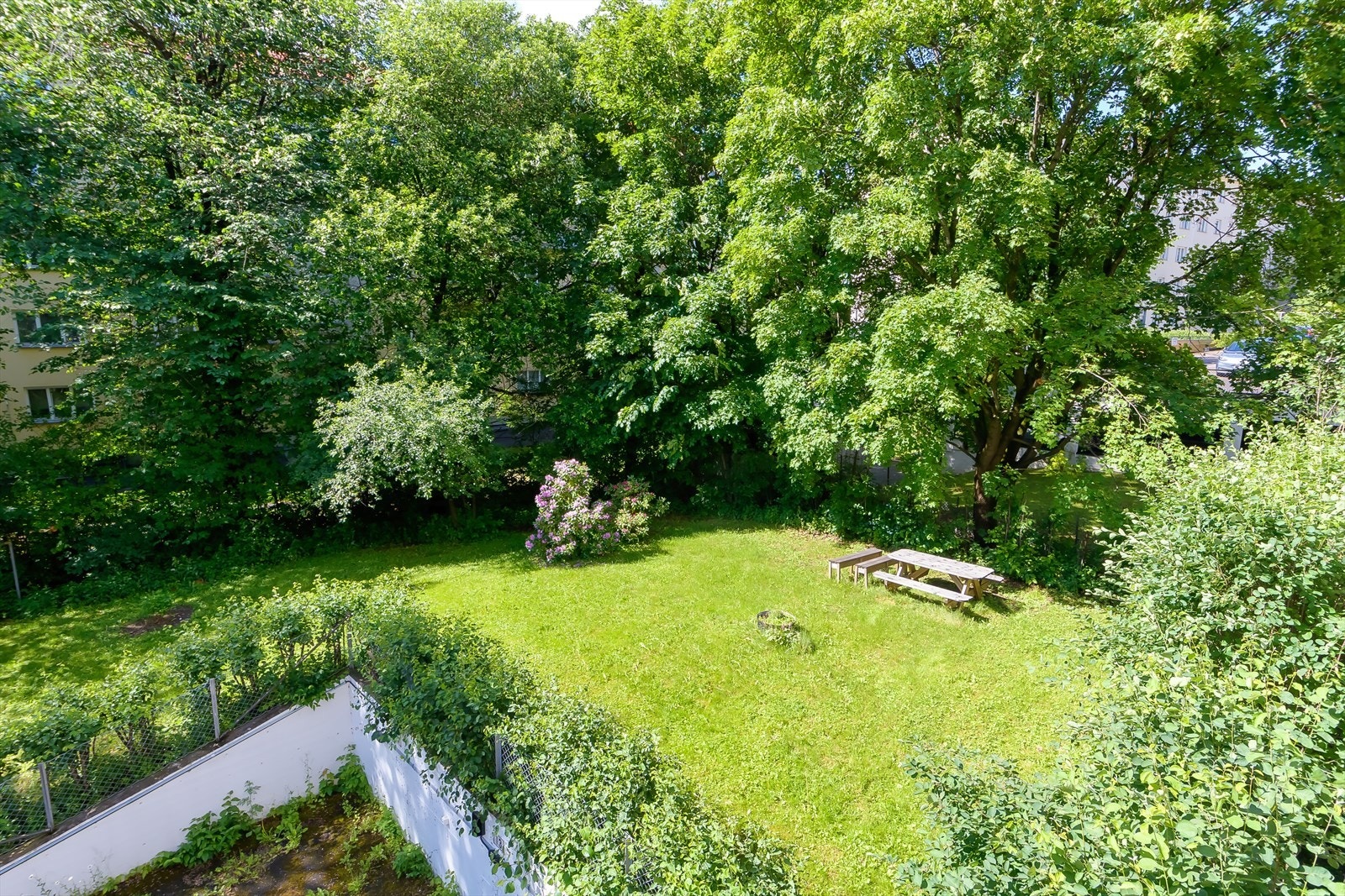 Sameiet har grønne og flotte fellesområder med sittebenk og beplantning Galleribilde