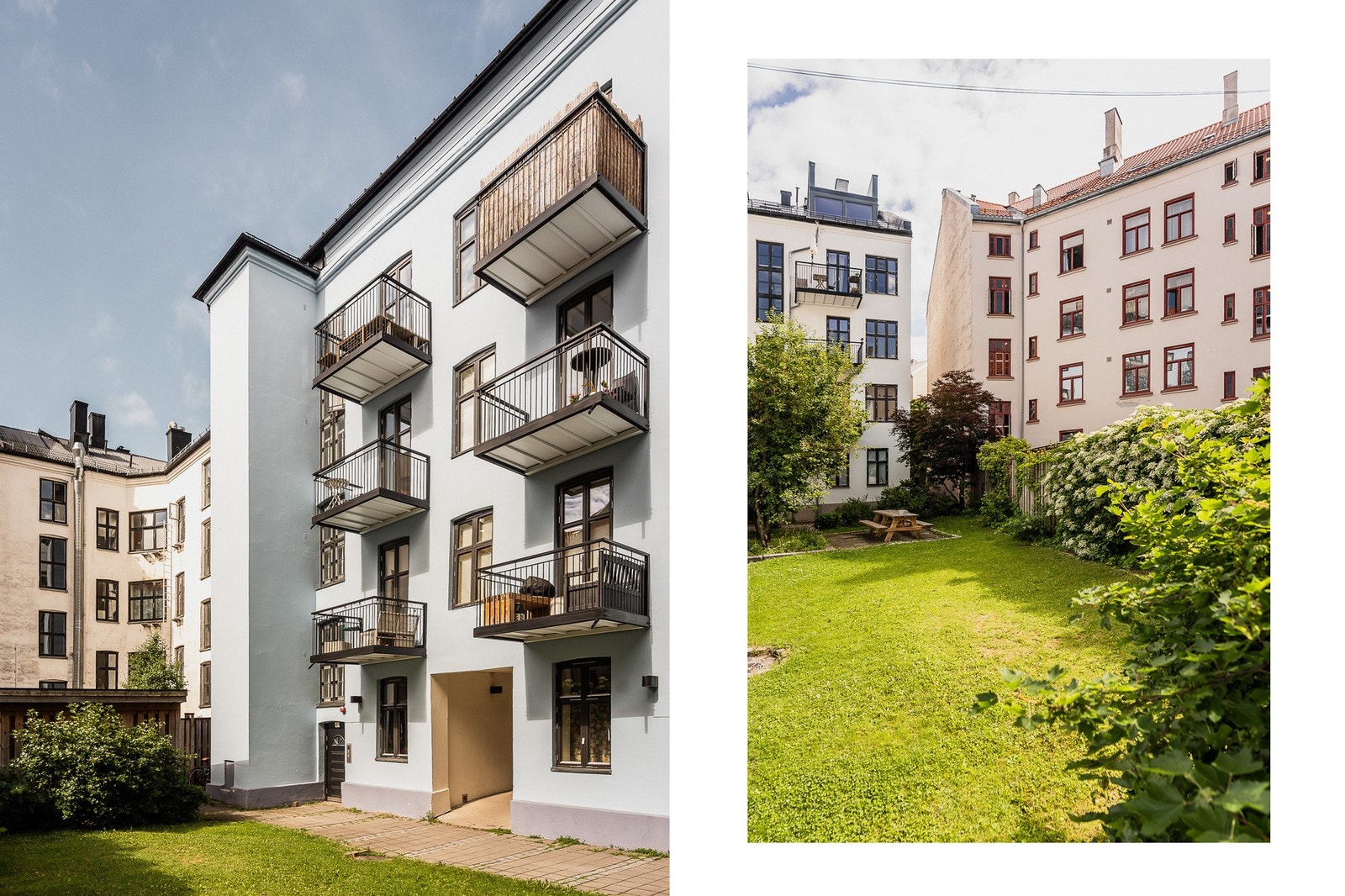 Felles bakgård med plen og beplantning. Galleribilde