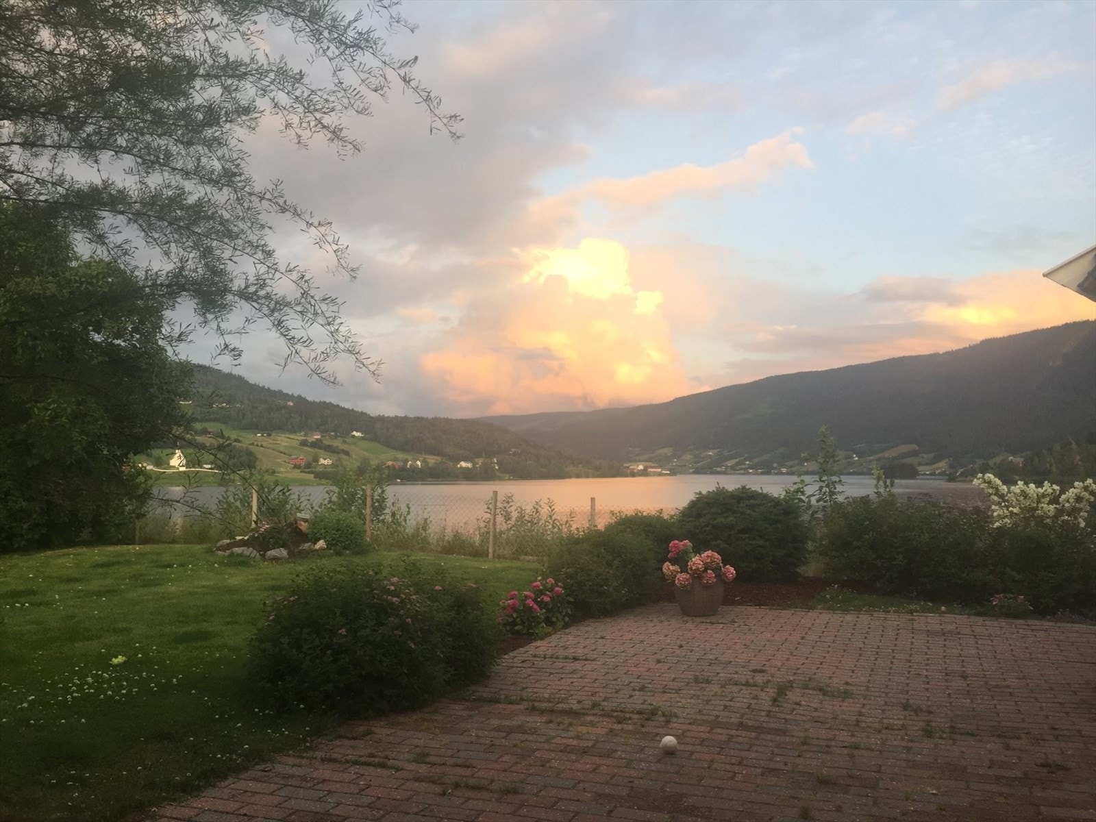 Selgers eget foto. Galleribilde