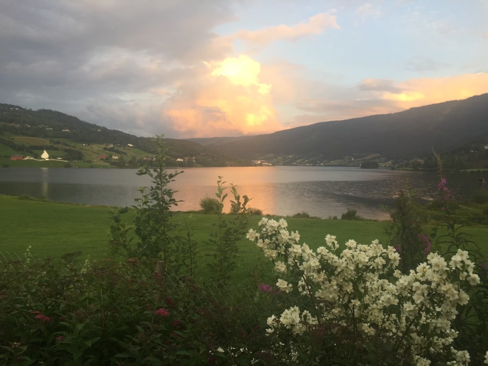 Selgers eget sommerbilde mot Ulneskyrkja. Galleribilde