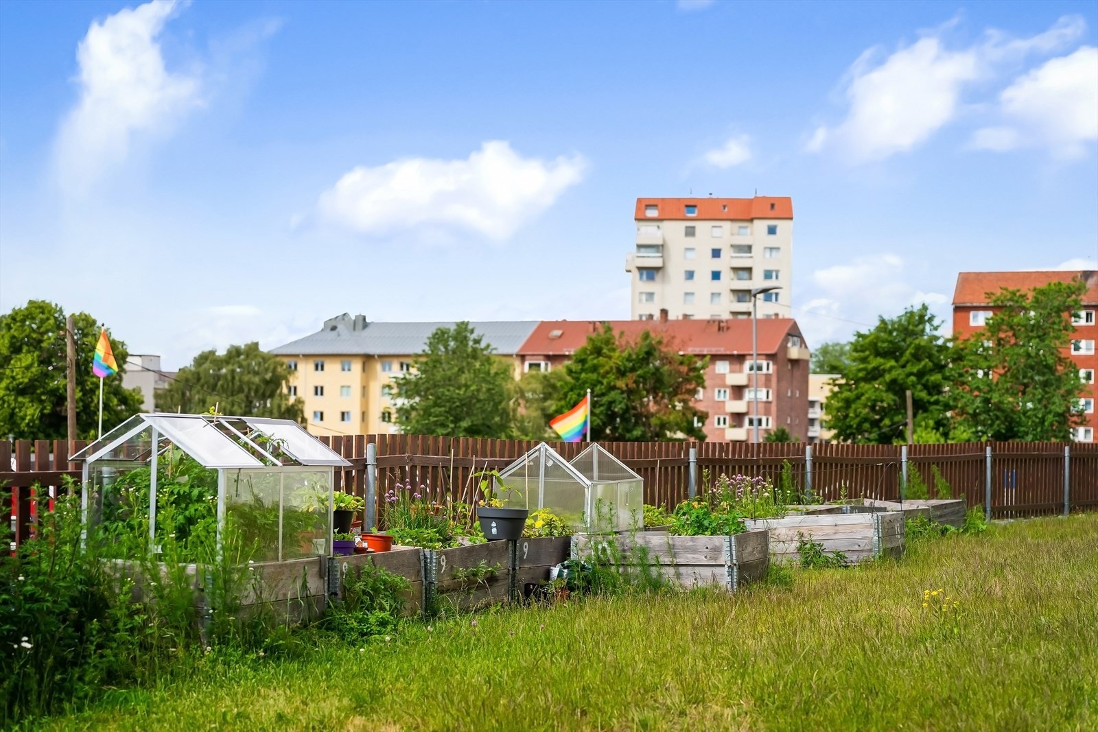 Hyggelige fellesarealer. Galleribilde