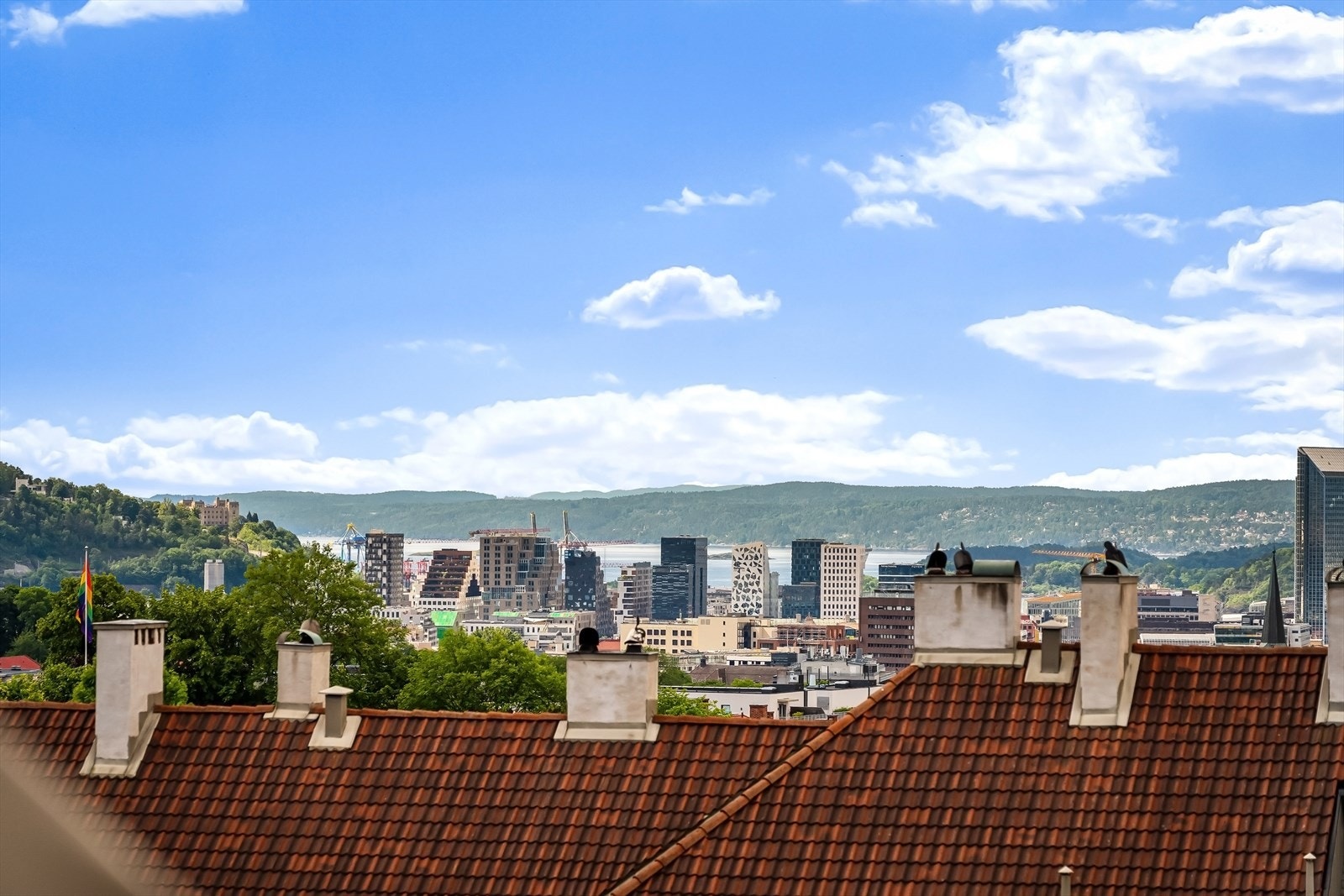 Utsyn fra terrasse. Galleribilde
