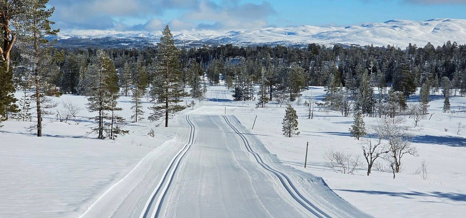 Det er flotte forhold for langrenn i området Galleribilde