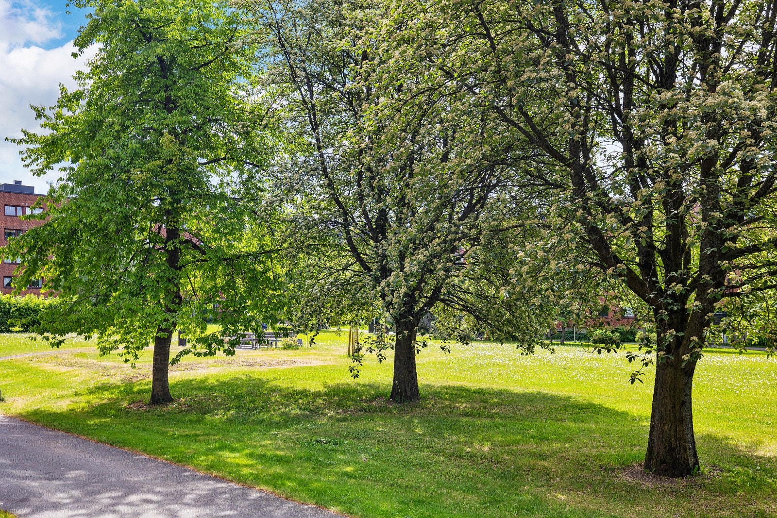 Fellesområde. Galleribilde