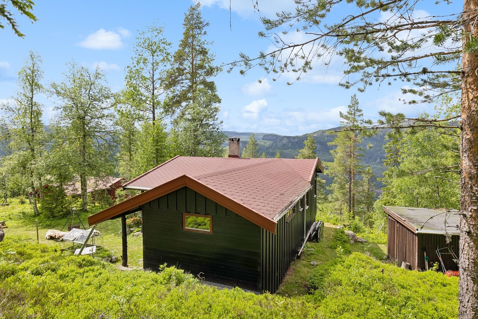 Med naturopplevelsene like utenfor hytteveggen har dere utallige turmuligheter året rundt. Eiendommen ligger ca 700 m.o.h. Galleribilde