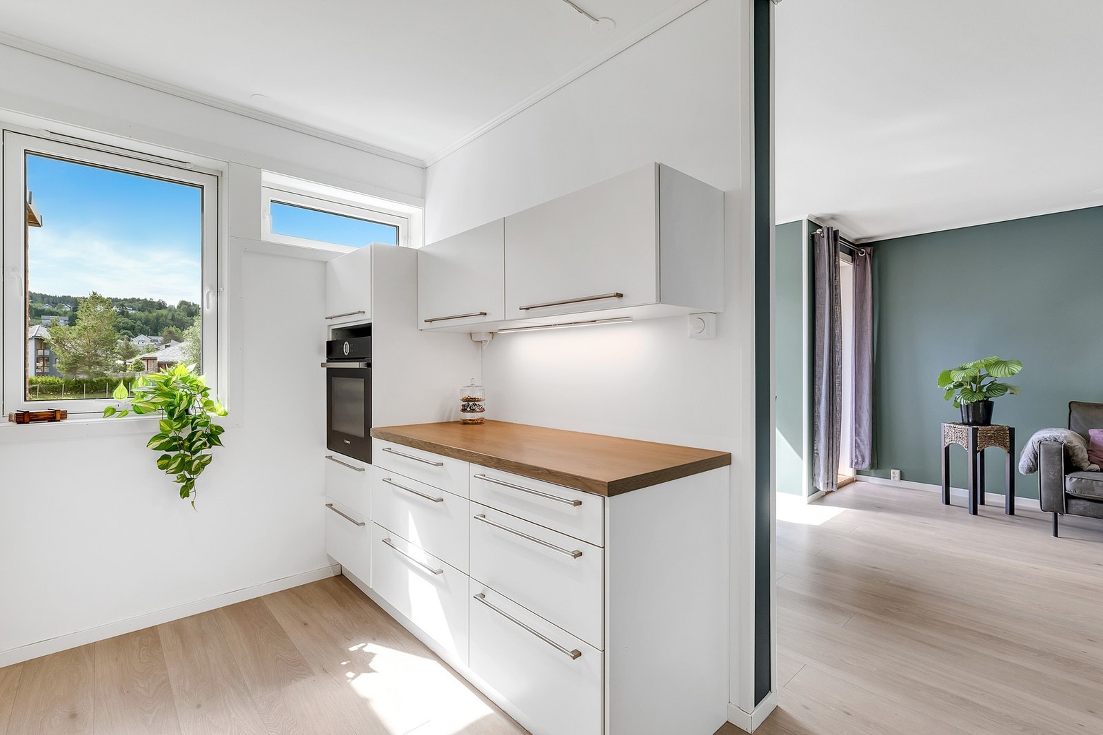 Praktisk med stekeovn i høyskap. Her ligger du i øverste etasje og slipper å ha en nabo over deg. Galleribilde