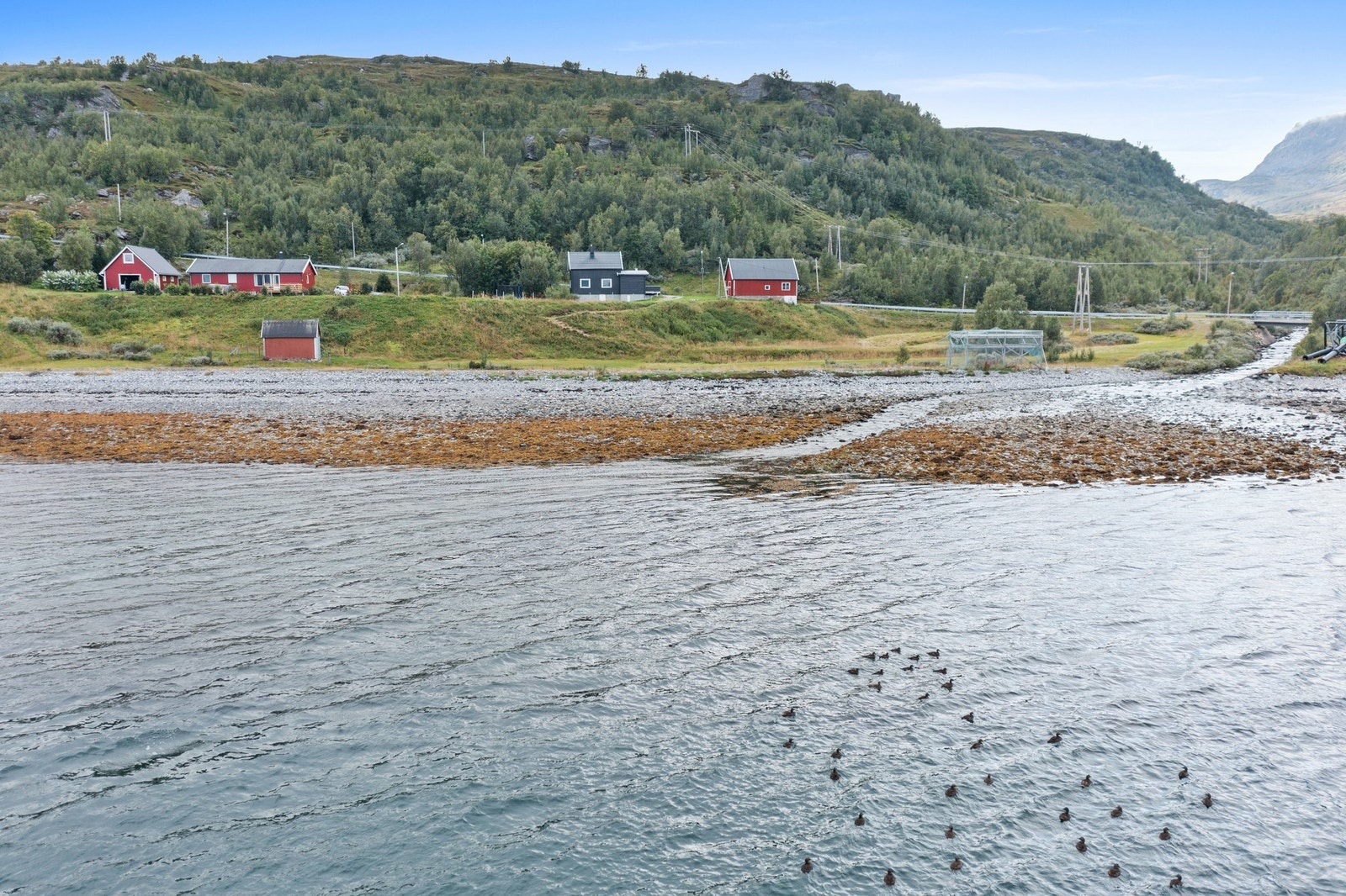 Ved sjøen Galleribilde