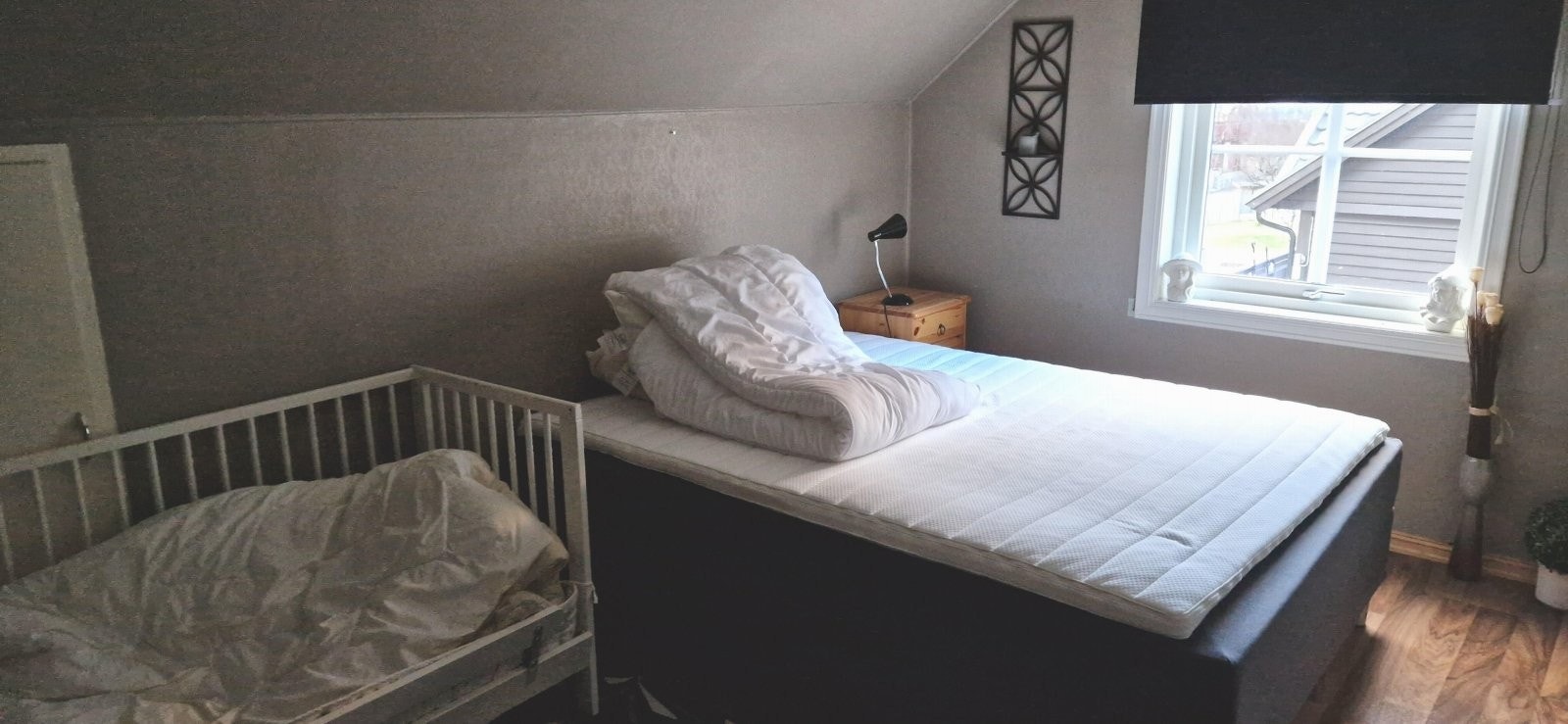 20221121_101851 Galleribilde