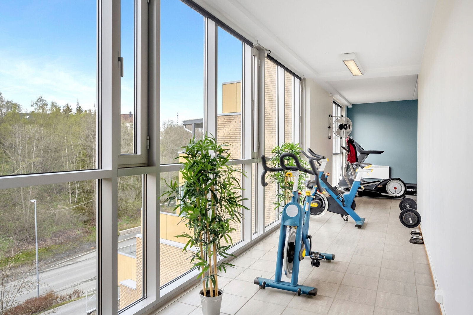 Felles trimrom i borettslaget. Galleribilde