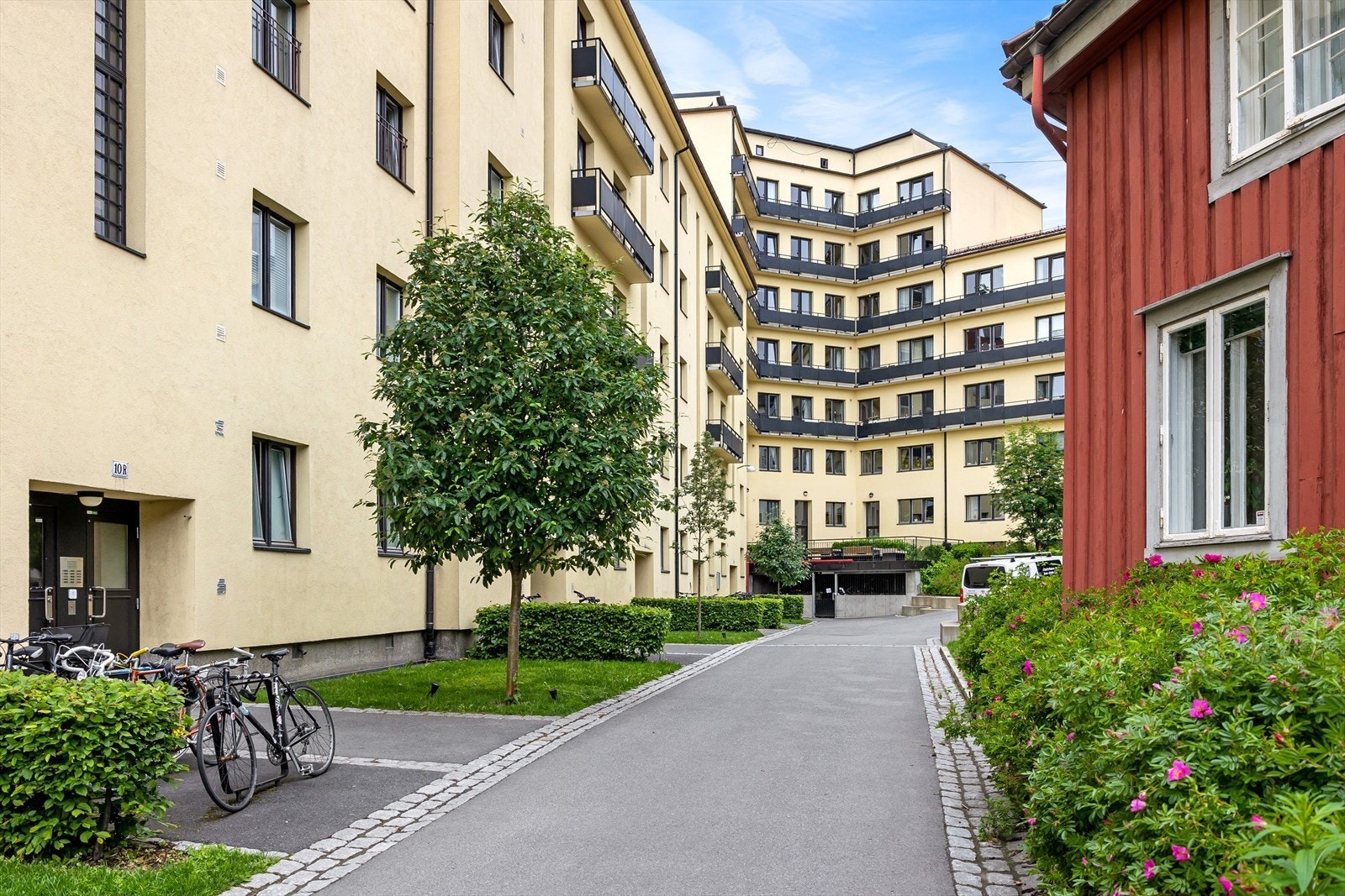 Hyggelig og opparbeidet bakgård med sitteplasser, plen, busker, trær og sykkelparkering Galleribilde