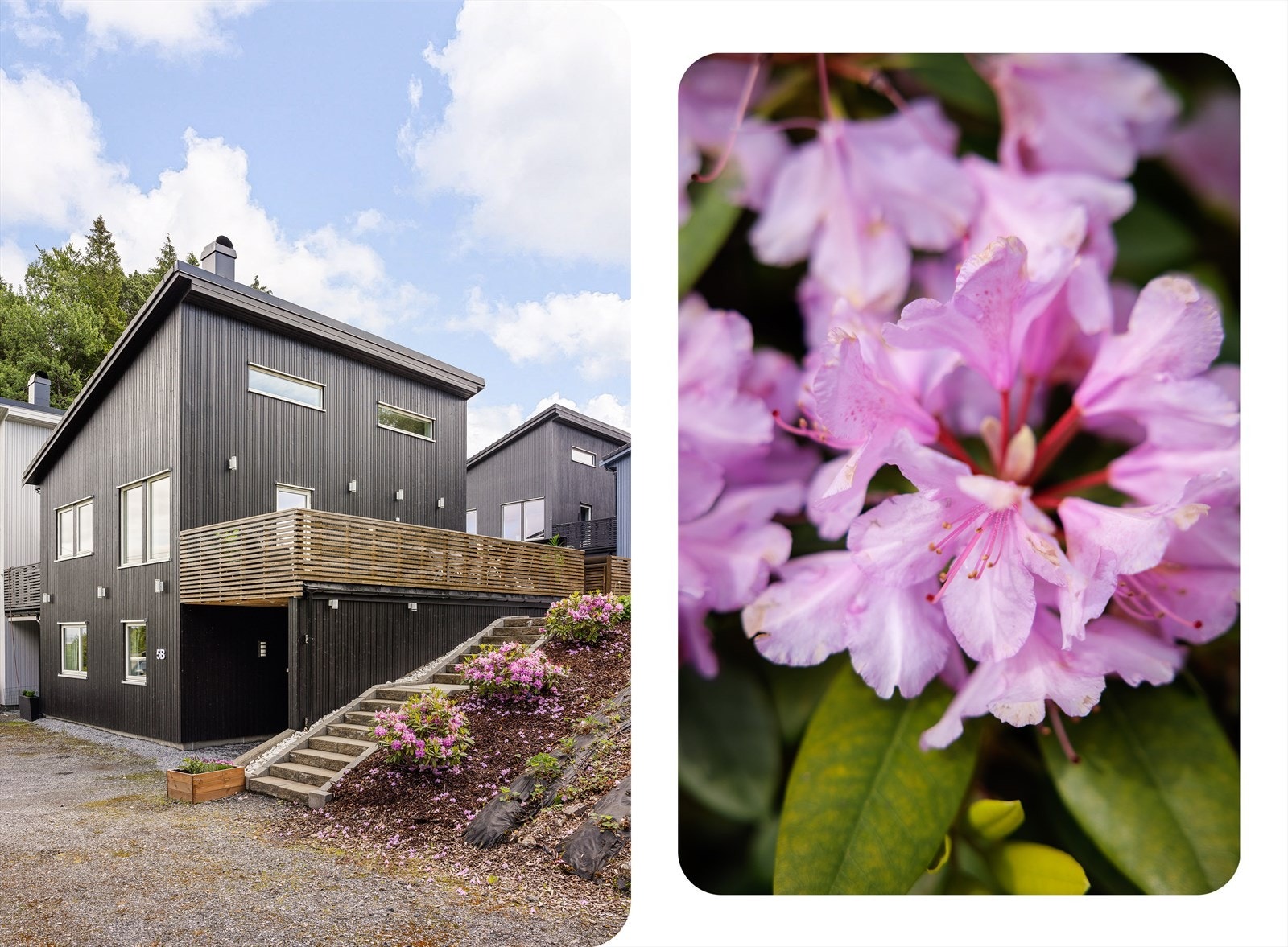 Det er også supre parkeringsmuligheter på felles tomt. Galleribilde