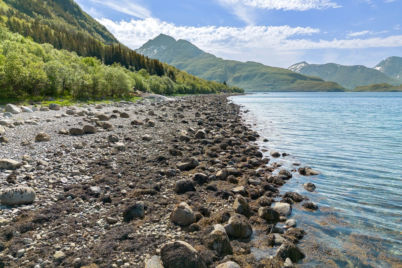 Nedenfor veien og hyttetomten. Ønsker du turer til sjøs er dette "midt i blinken" hva gjelder korte avstander til gode
fiskeplasser eller båtturer til Indre Kvarøy, Hestmannen, Rødøyløva, Lurøya/ Onøy og Nesøyene. Galleribilde